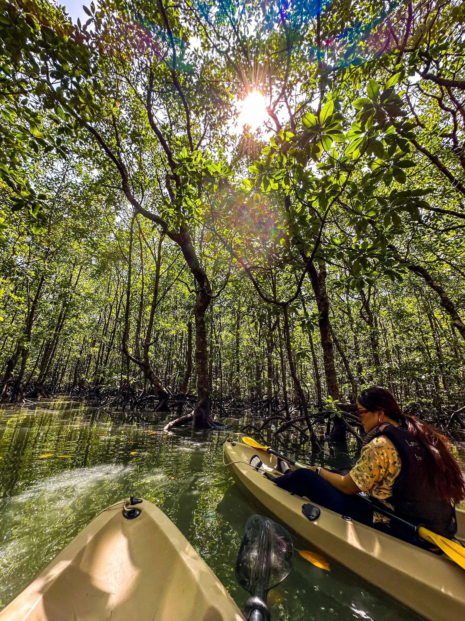 Mangrove Trail Kayak - Boat Tour & Water Sport in Langkawi