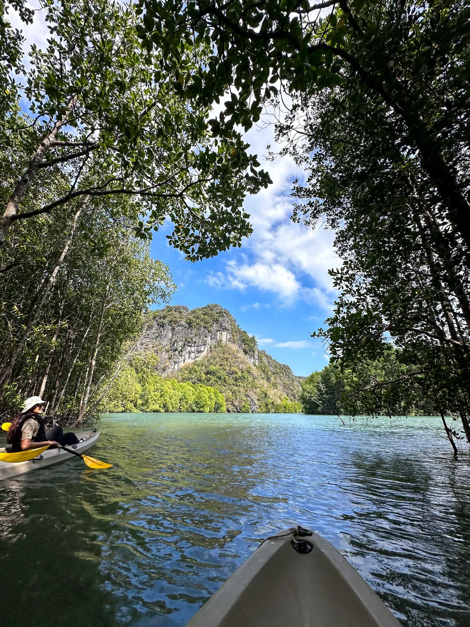 Mangrove Trail Kayak - Boat Tour & Water Sport in Langkawi