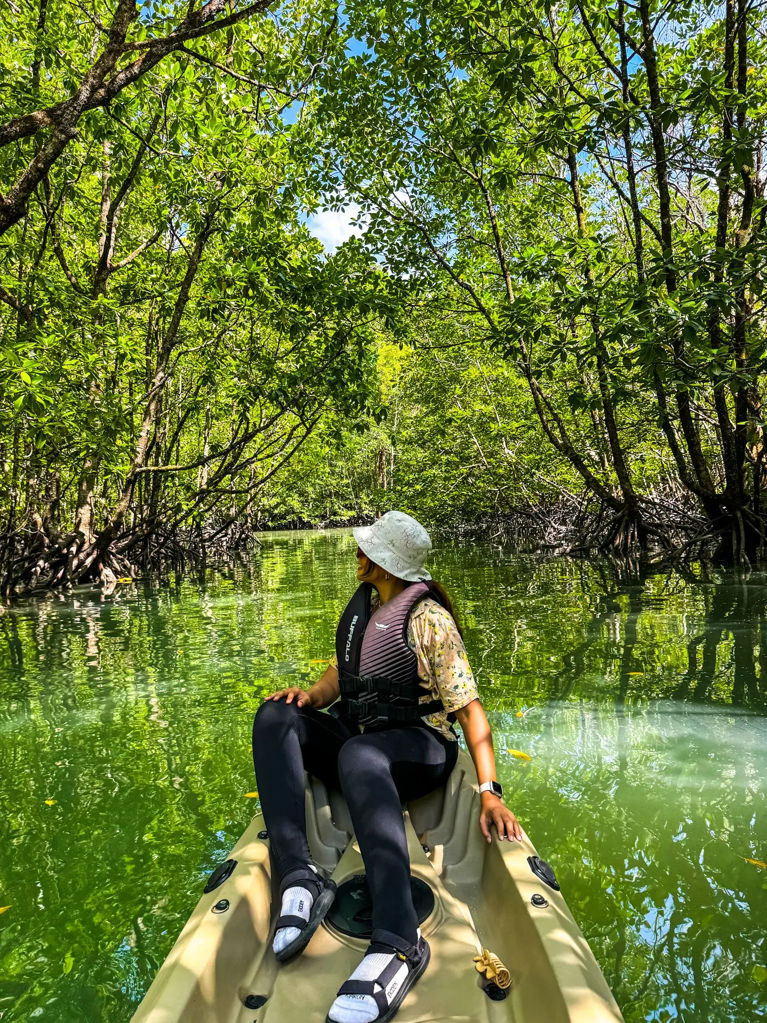 Mangrove Trail Kayak