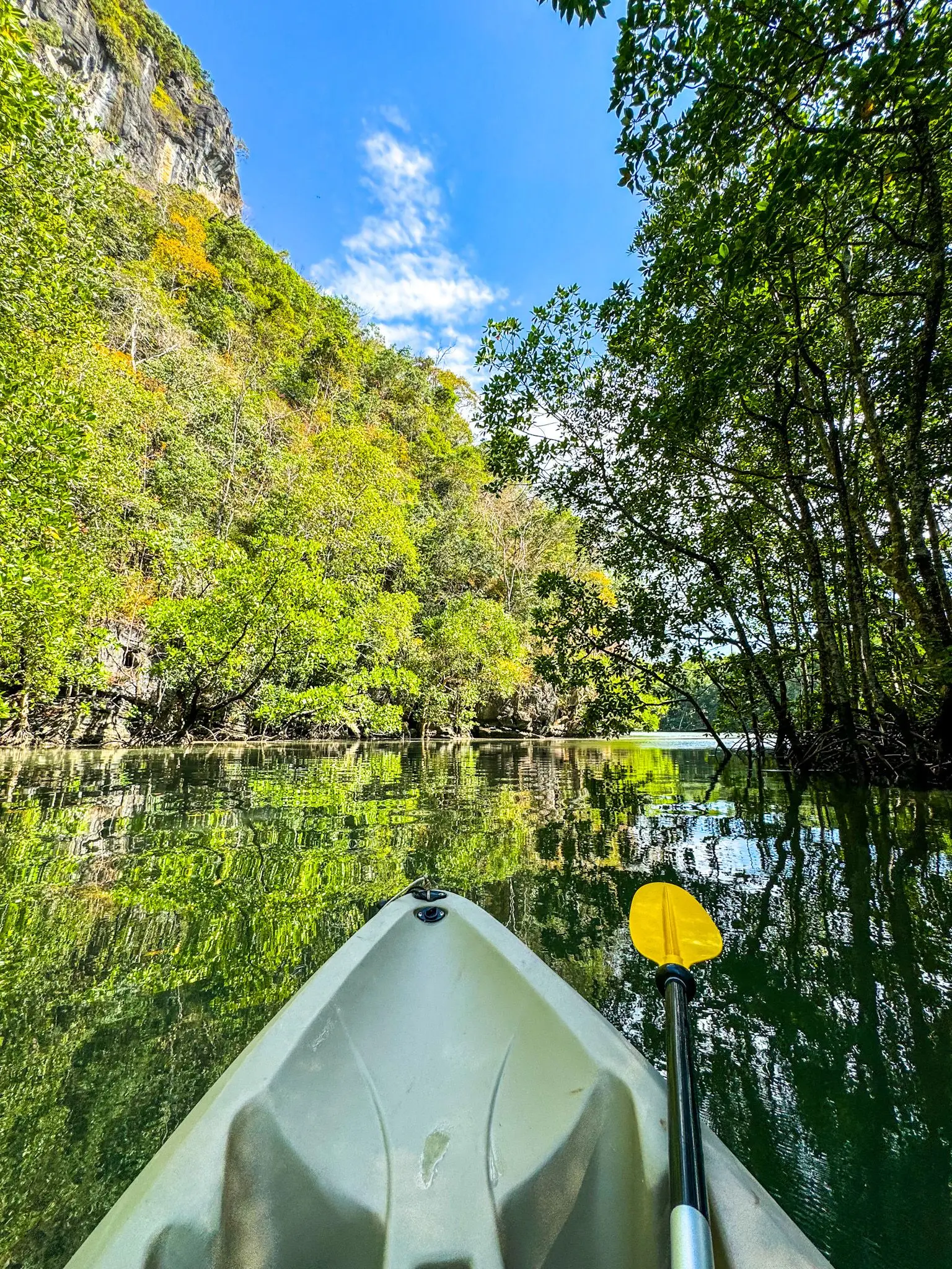 Mangrove Trail Kayak