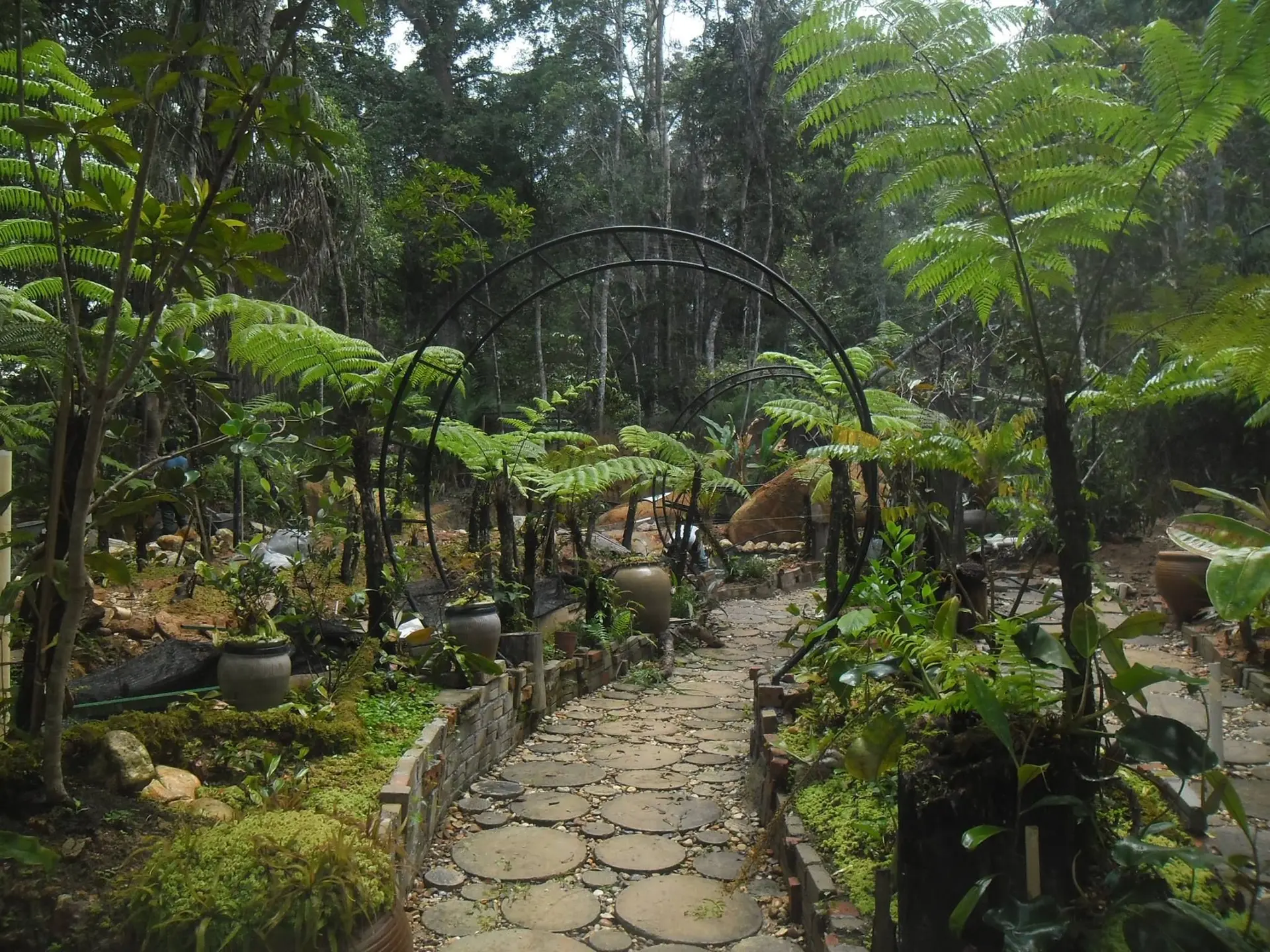 Monkey Cup Garden Cafe - Cafe in Bukit Bendera