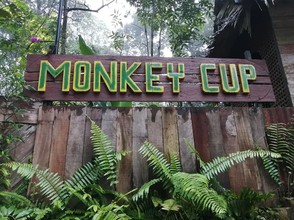 Monkey Cup Garden Cafe