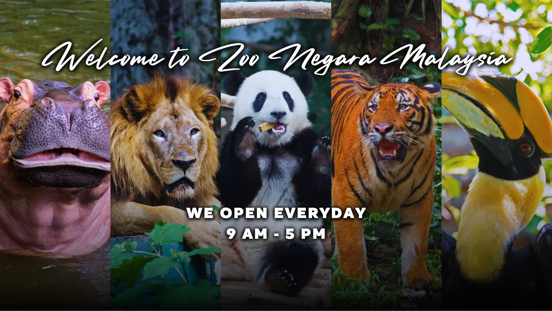 Zoo Negara Malaysia - Zoo & Aquarium in Ampang