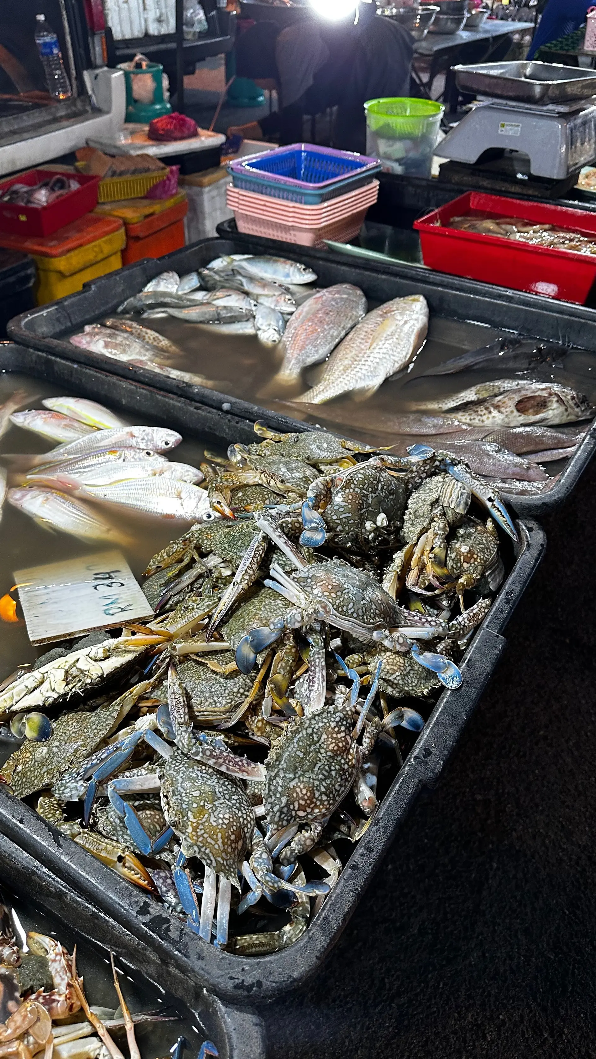 Kuah Town Night Market (Wednesday, Saturday) - Night Market in Langkawi