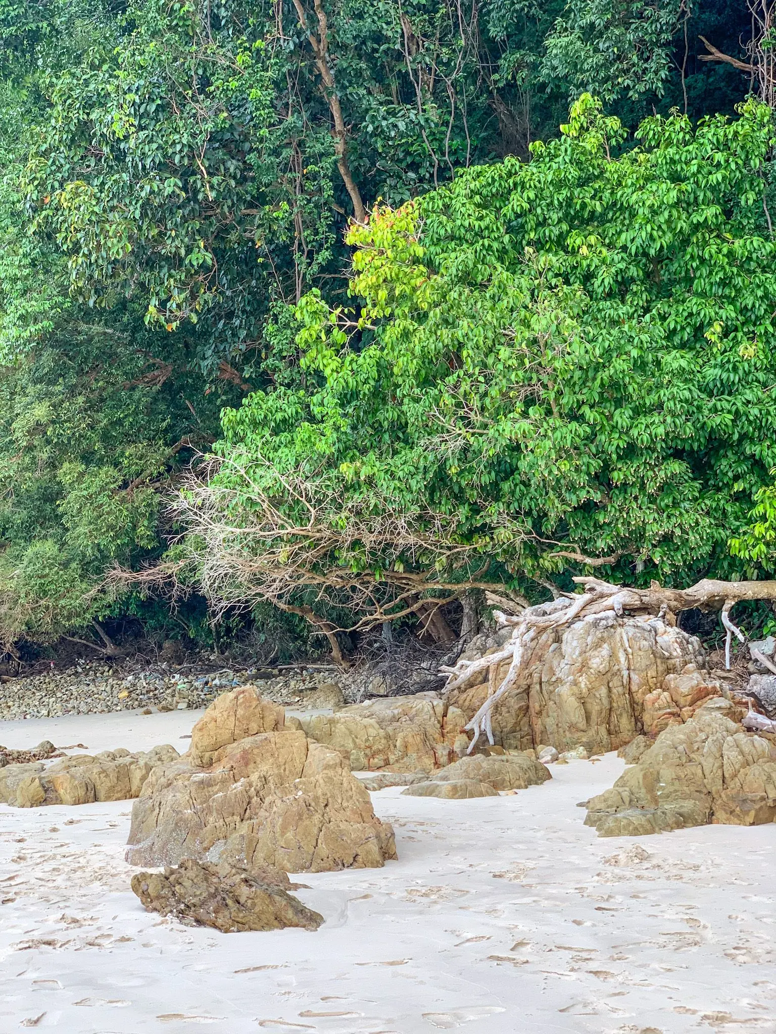 Pantai Pasir Tengkorak  - Nature & Park in Langkawi