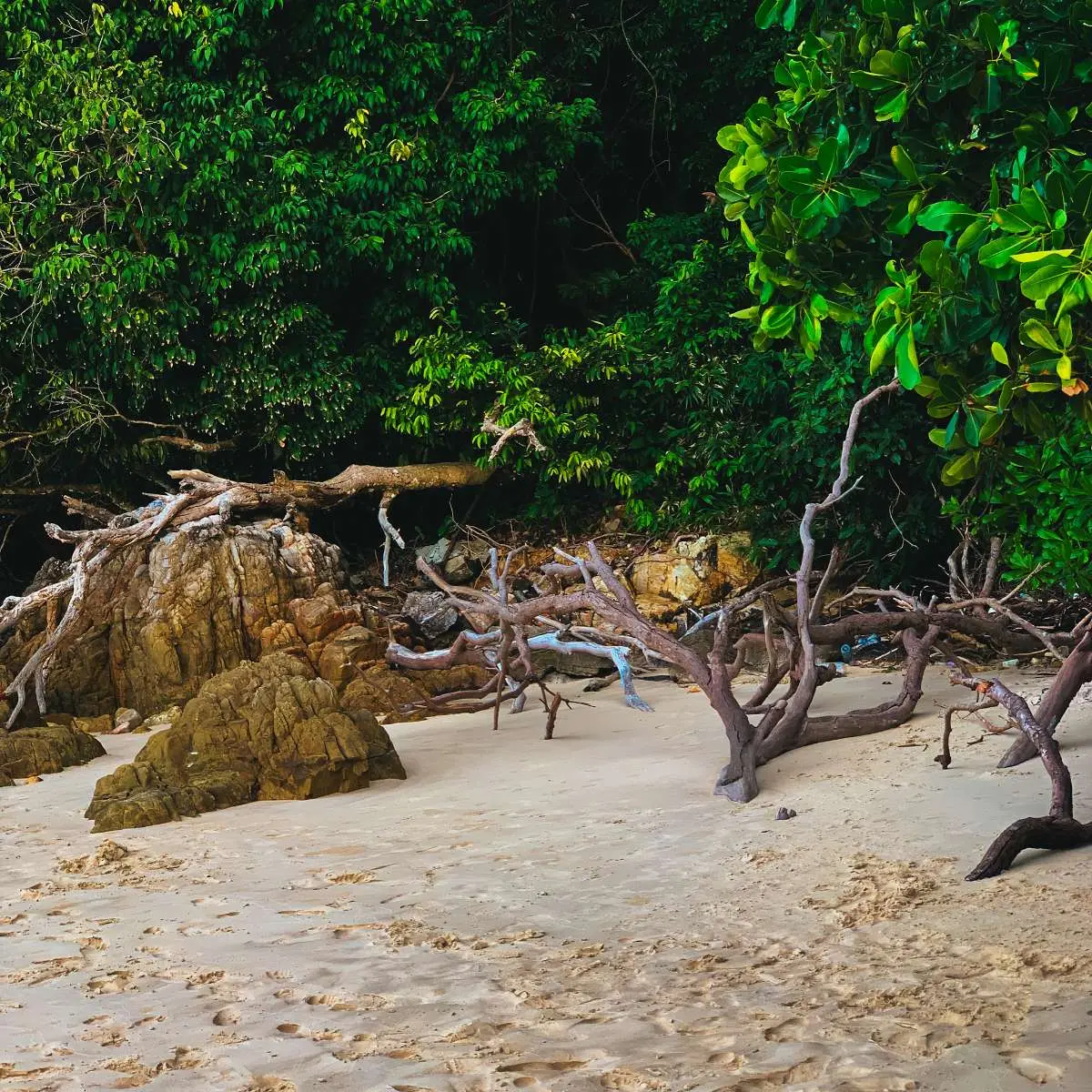 Pantai Pasir Tengkorak  - Nature & Park in Langkawi