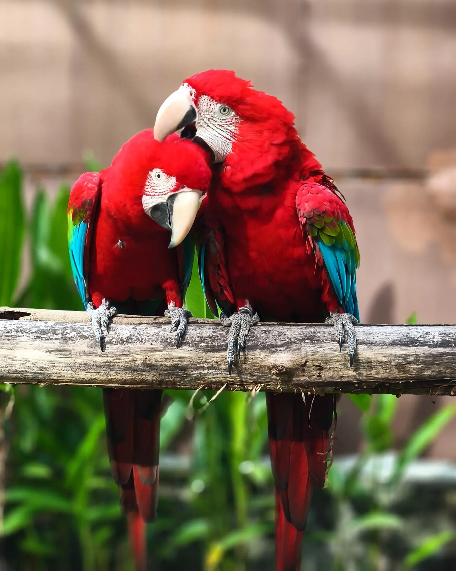 Penang Bird Park - Zoo & Aquarium in Perai