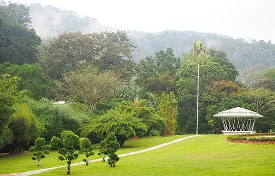 Penang Botanical Garden - Garden & Park in Penang