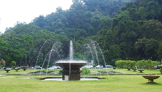Penang Botanical Garden - Garden & Park in Penang