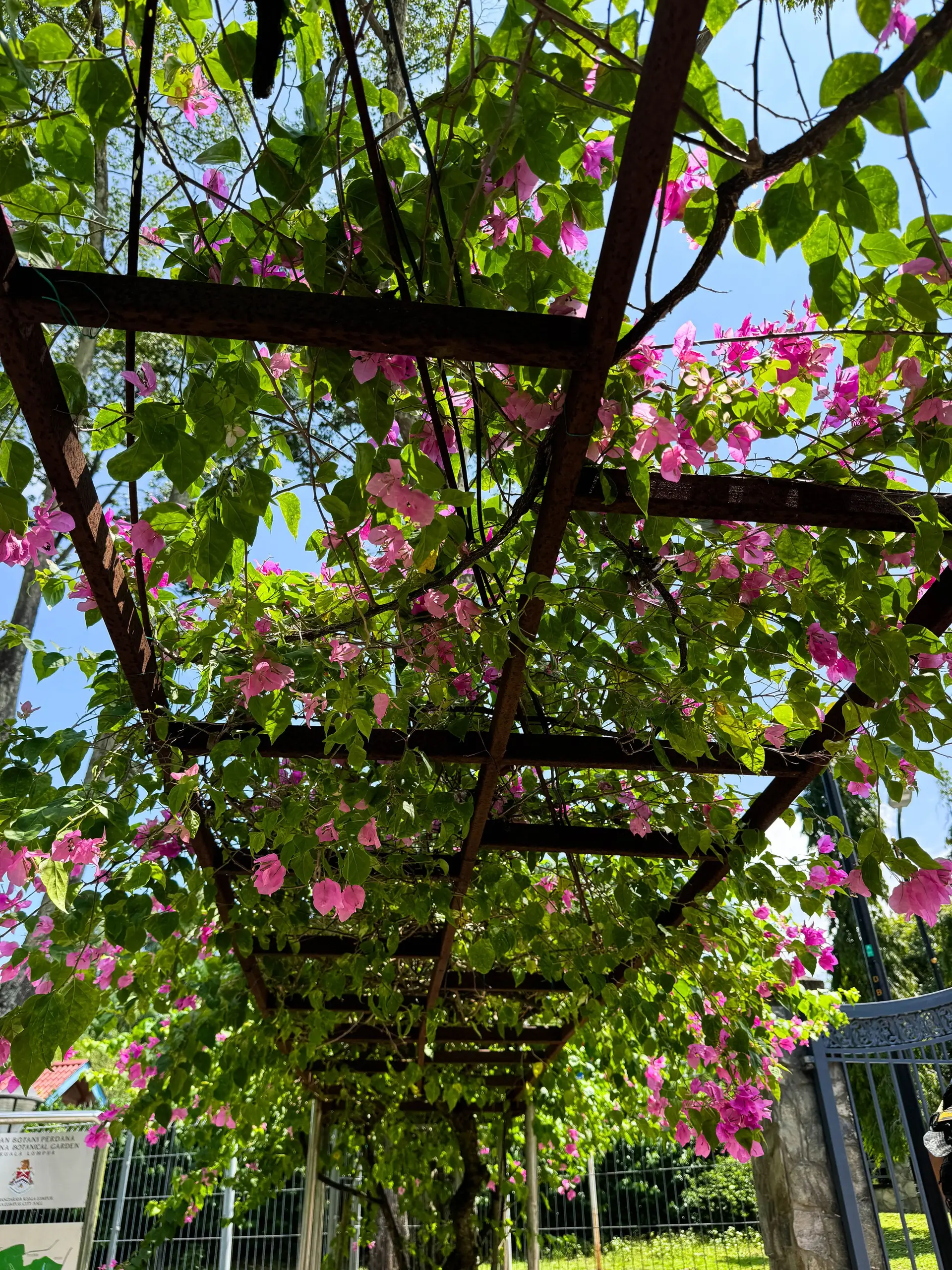 Perdana Botanical Garden