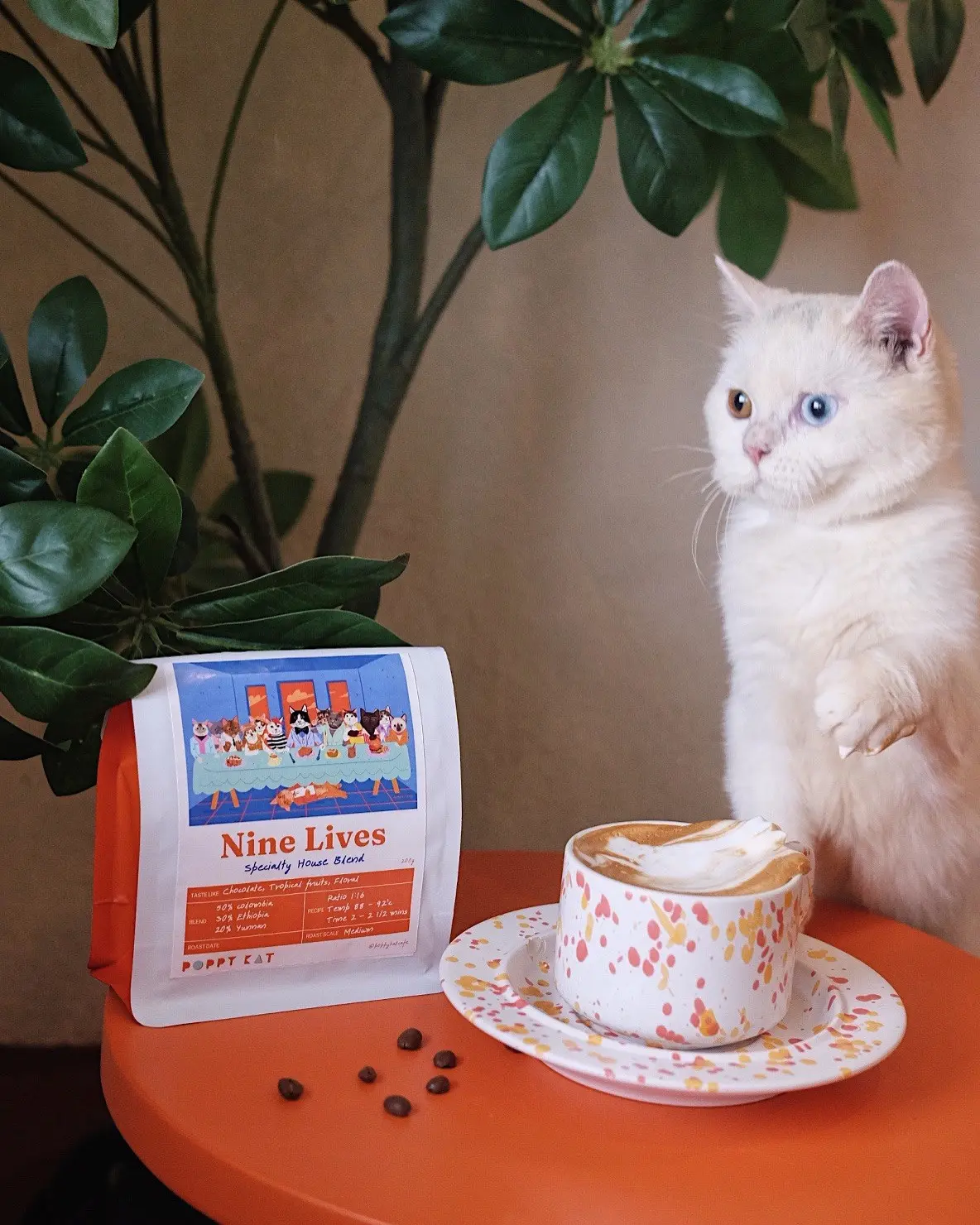 Poppy Kat - Cafe in Cheras