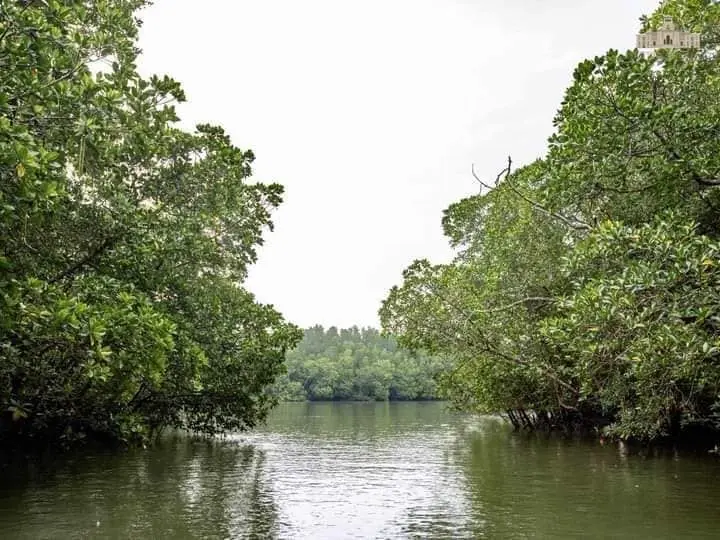 Pulau Tanjung Surat - Island in Kota Tinggi