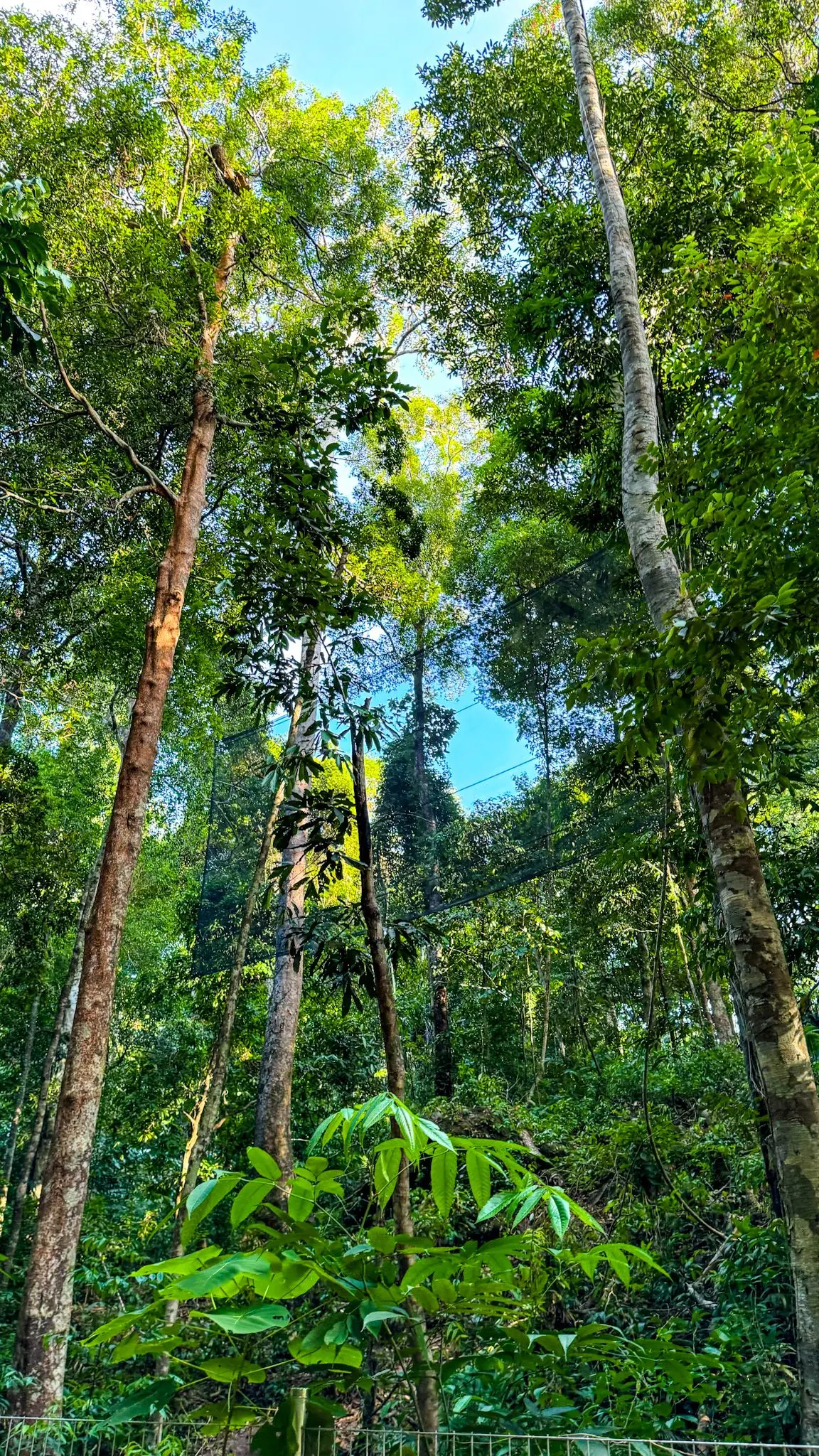 Rumah Idea Langkawi - Nature & Park in Langkawi
