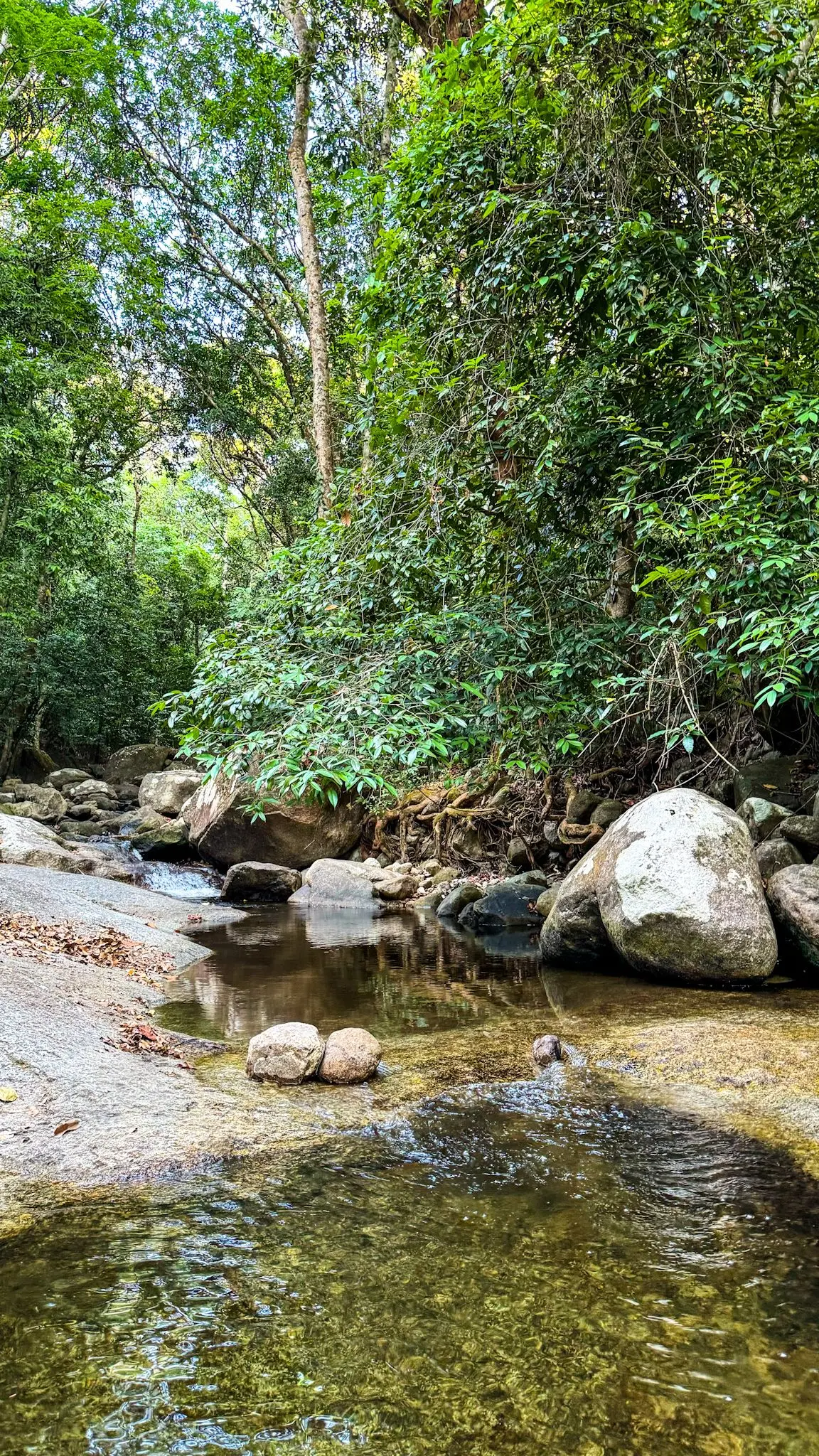 Rumah Idea Langkawi - Nature & Park in Langkawi