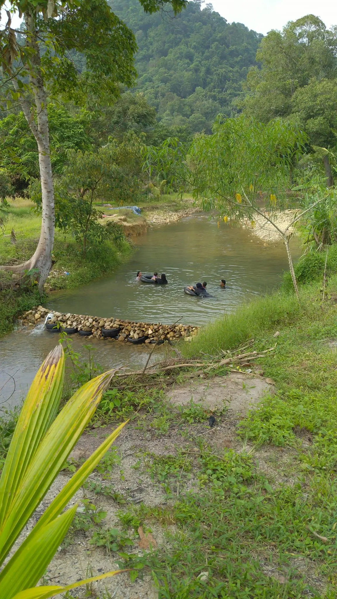 Sekawan Campsite - Campsite in Kulai