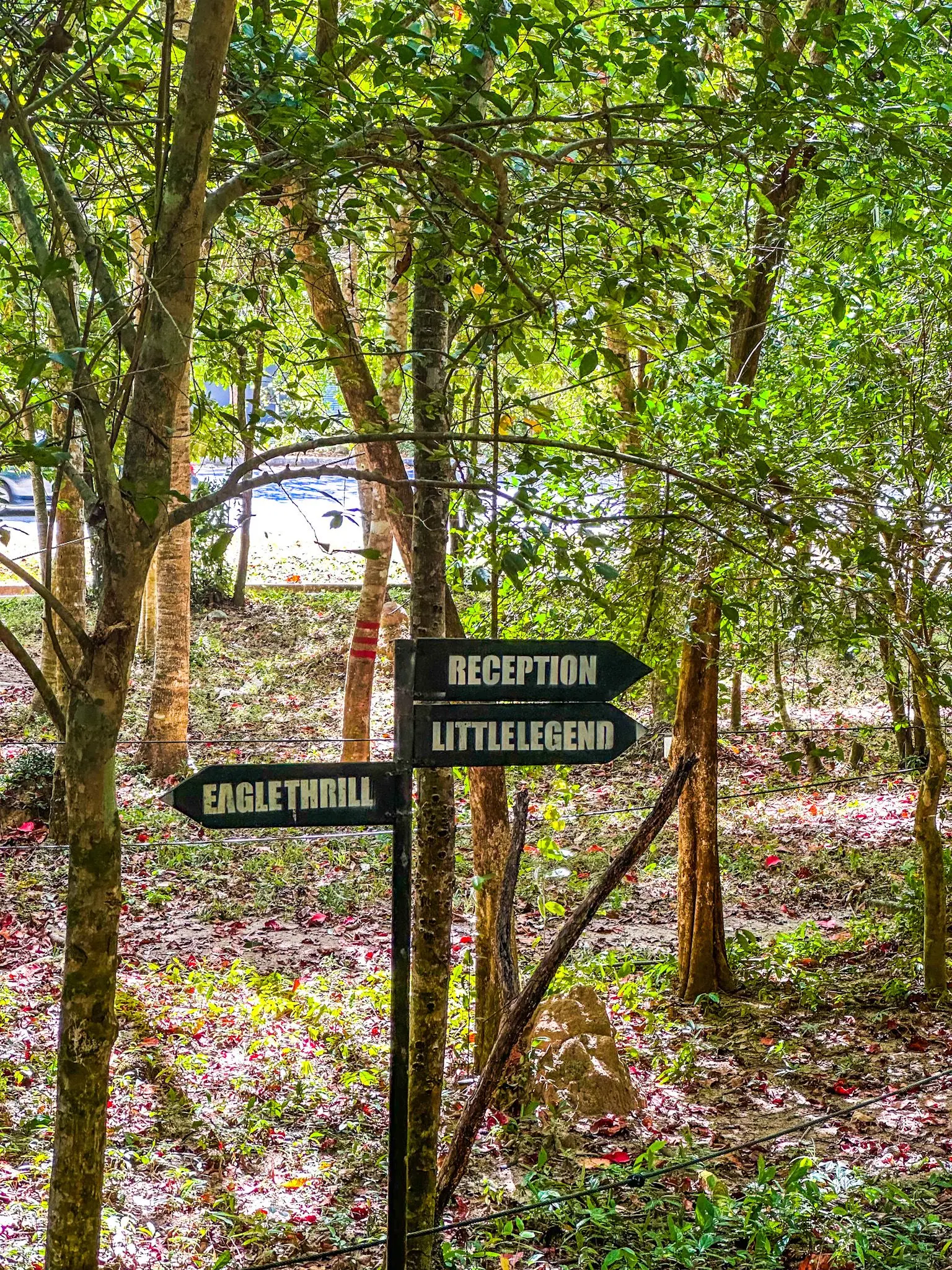 SKYTREX Adventure Langkawi - Outdoor Activity in Langkawi