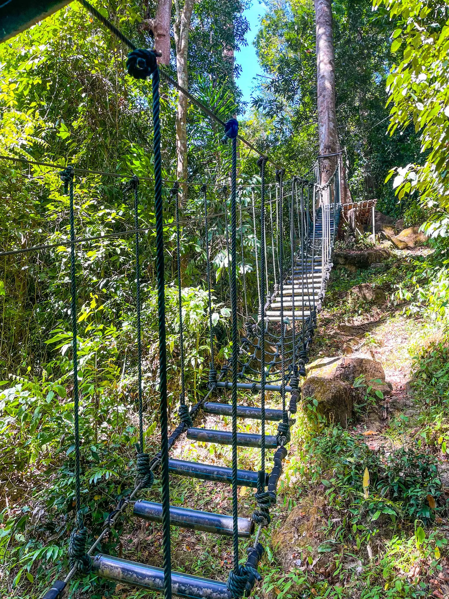 SKYTREX Adventure Langkawi - Outdoor Activity in Langkawi