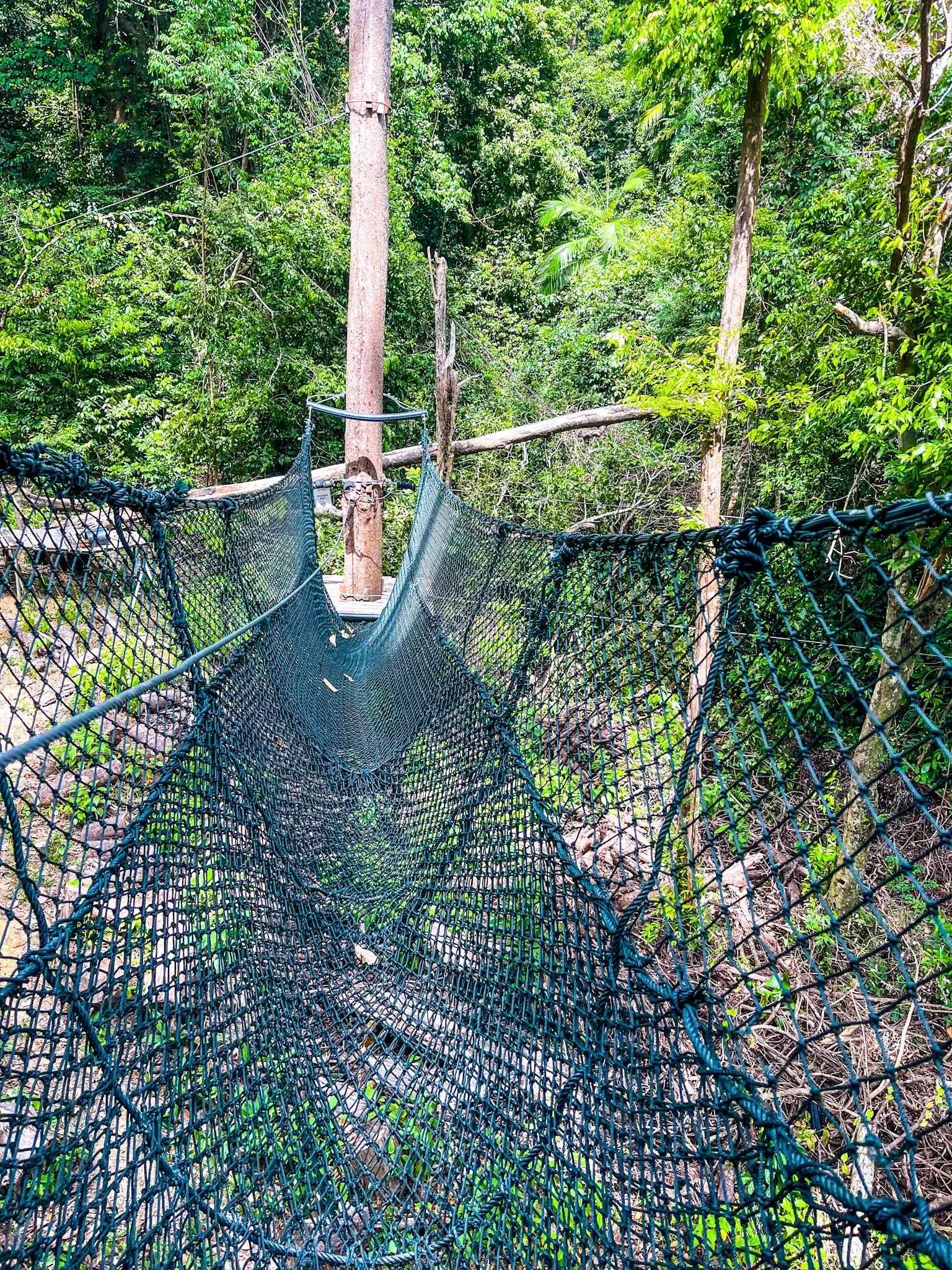 SKYTREX Adventure Langkawi - Outdoor Activity in Langkawi