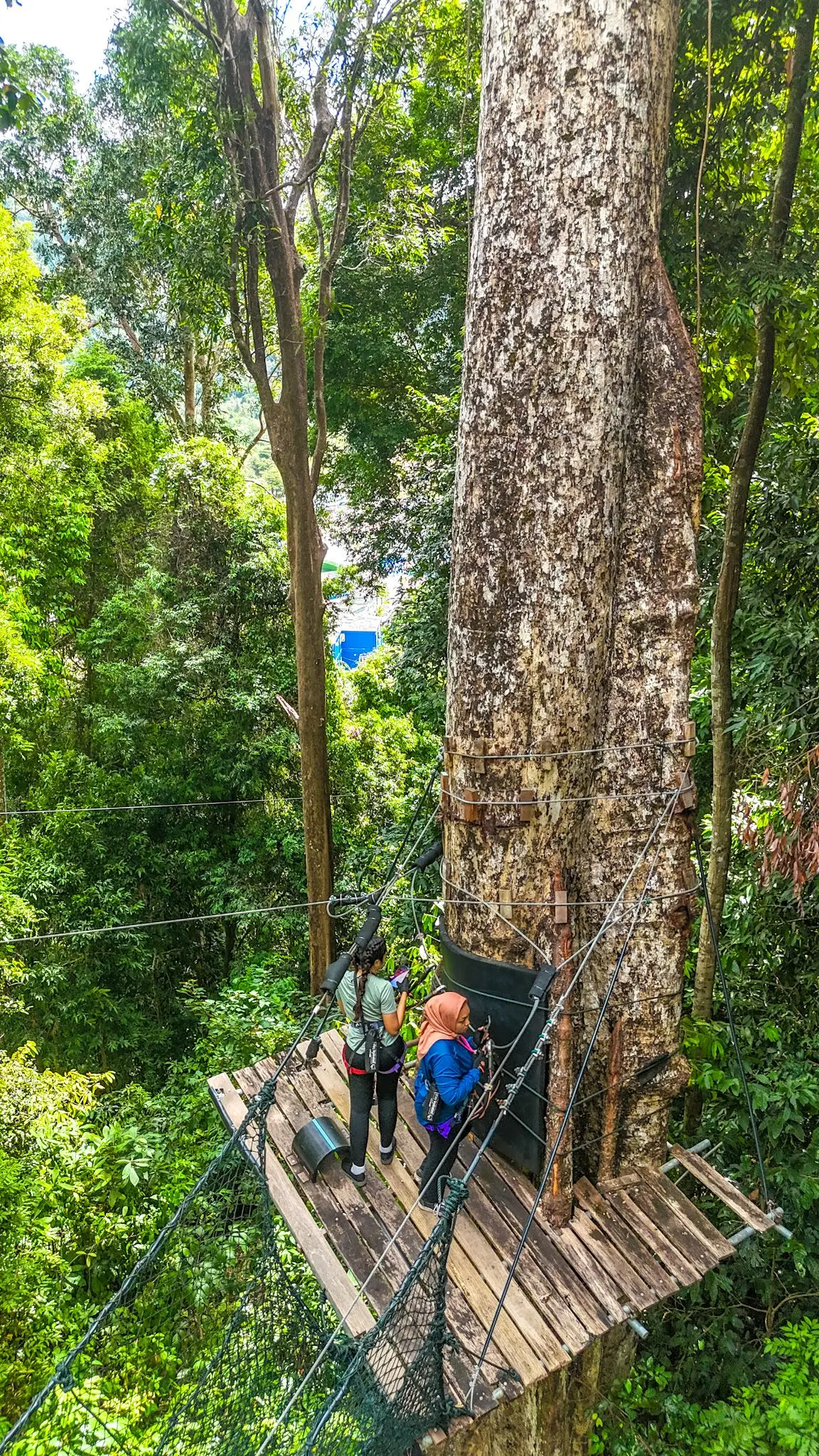 SKYTREX Adventure Langkawi - Outdoor Activity in Langkawi