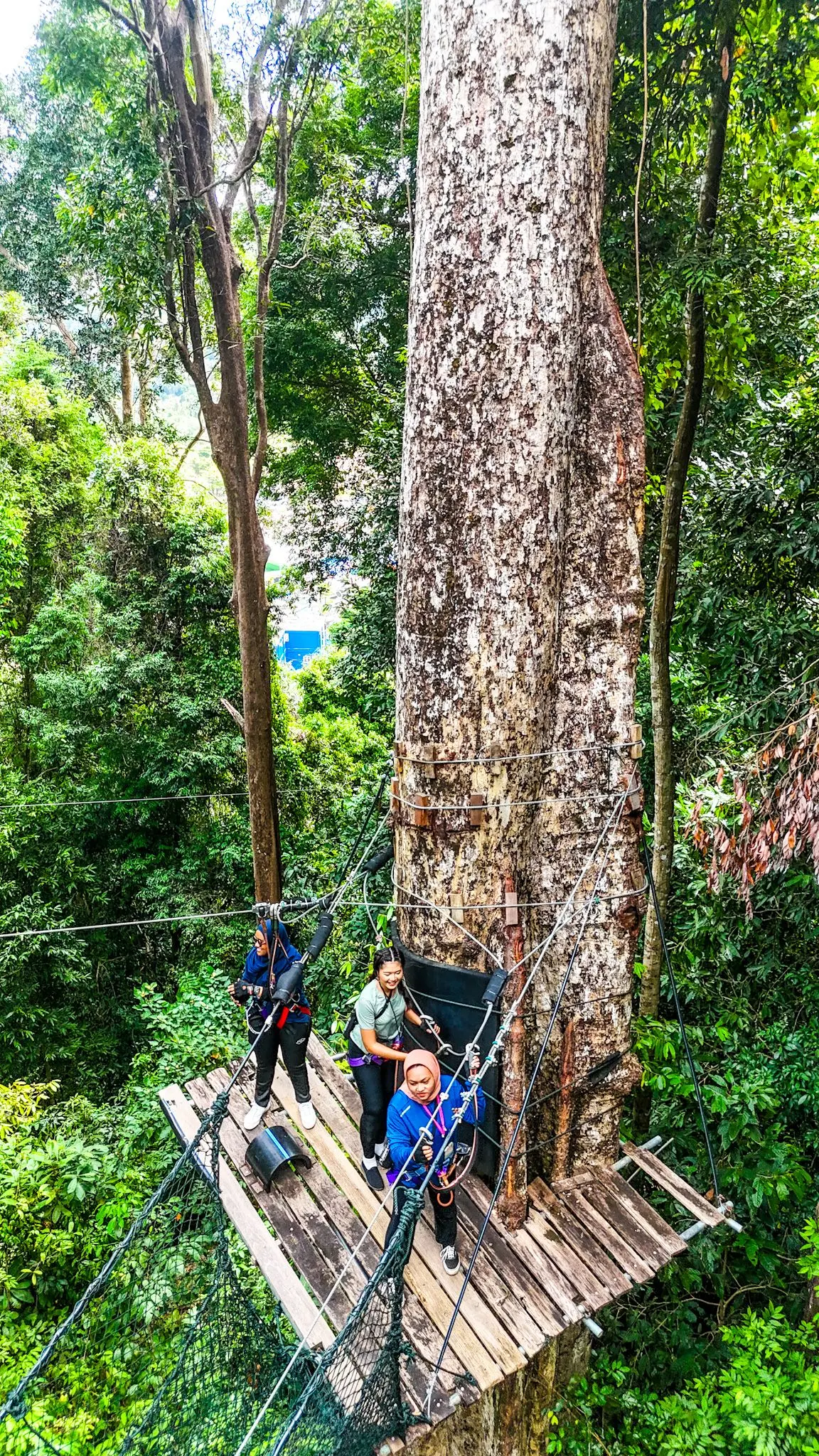 SKYTREX Adventure Langkawi - Outdoor Activity in Langkawi