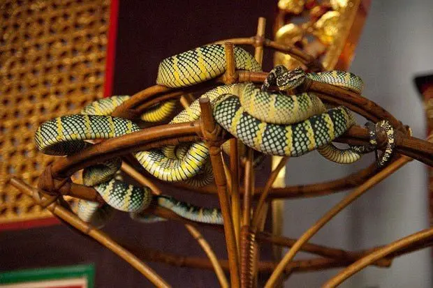 Snake Temple - Religious Site in Penang