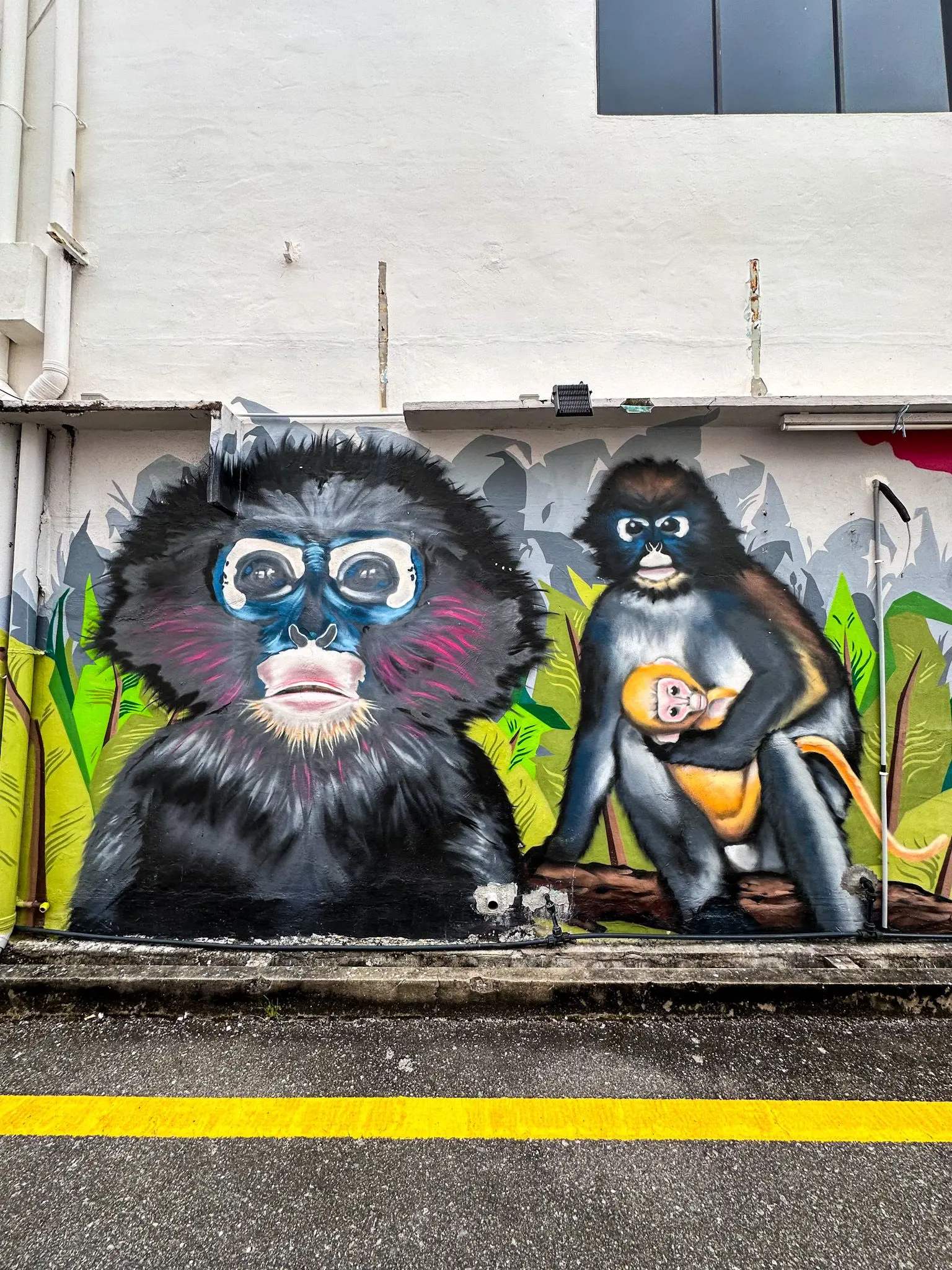 Street Art Langkawi  - Art Gallery & Art Street in Langkawi