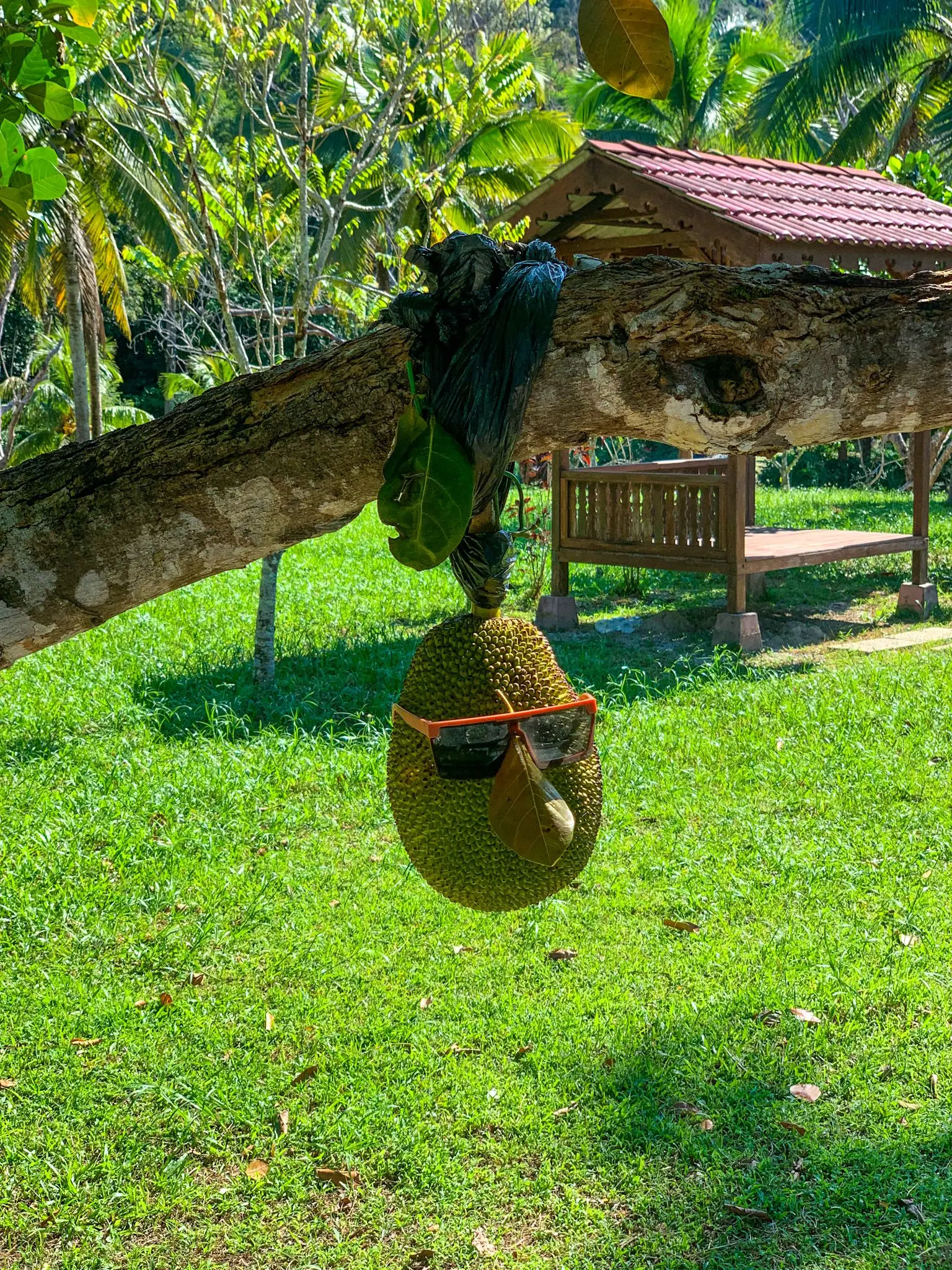 Taman Agroteknologi MARDI Langkawi