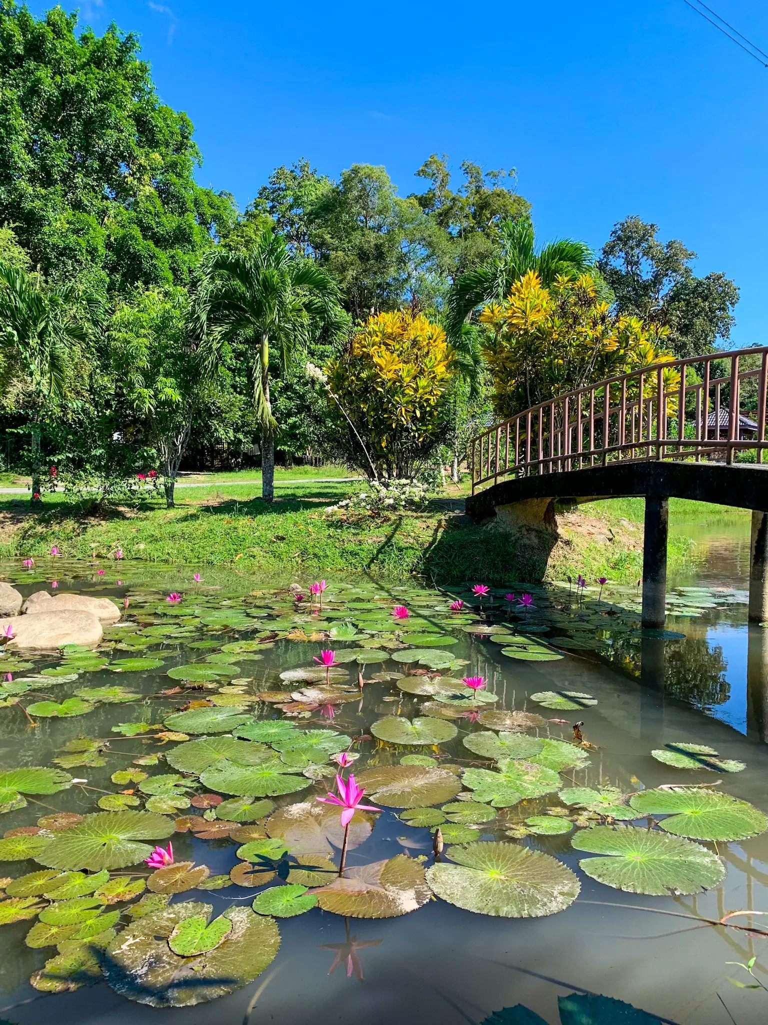 Taman Agroteknologi MARDI Langkawi - Nature & Park in Langkawi