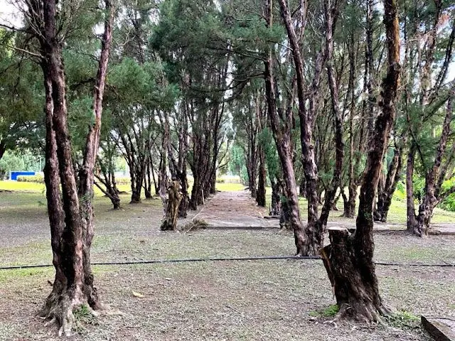Taman Lembah Bukit SUK Shah Alam