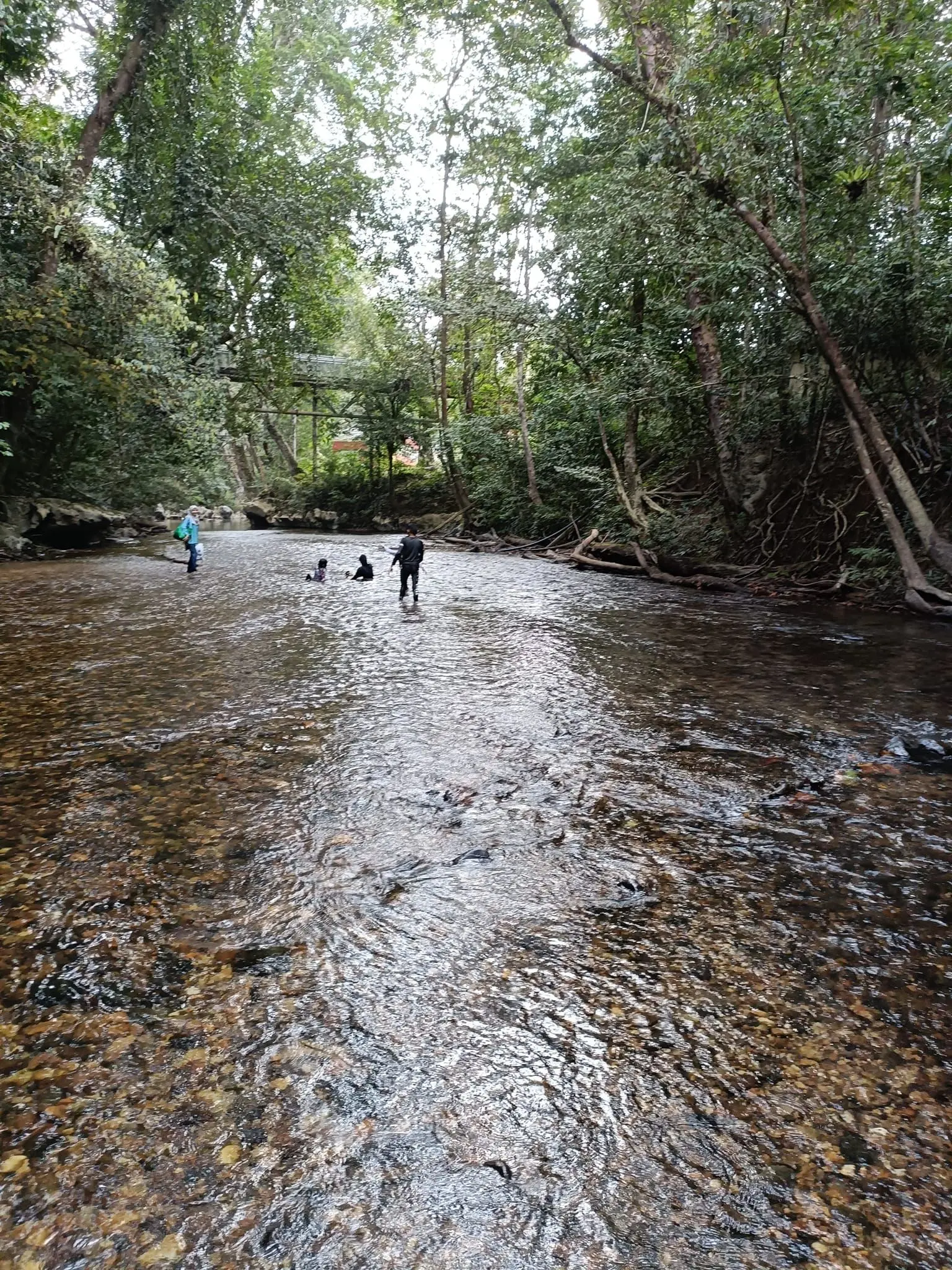 Taman Negara Sungai Relau - Nature & Park in Kuala Lipis