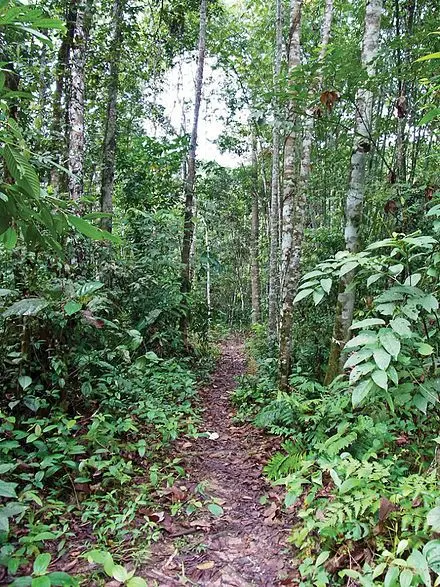 Taman Warisan Negeri Selangor - Nature & Park in Batu Caves