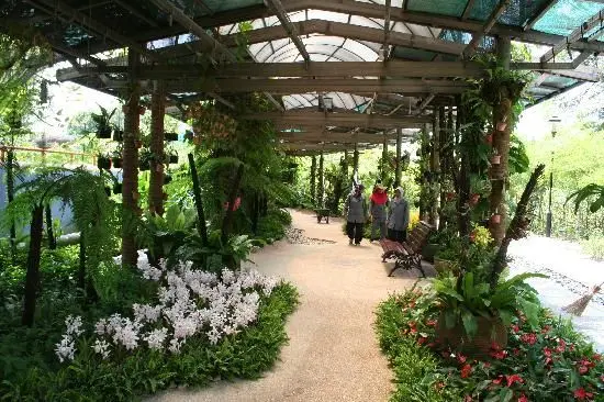 Taman Orkid Kuala Lumpur - Garden & Park in Kuala Lumpur