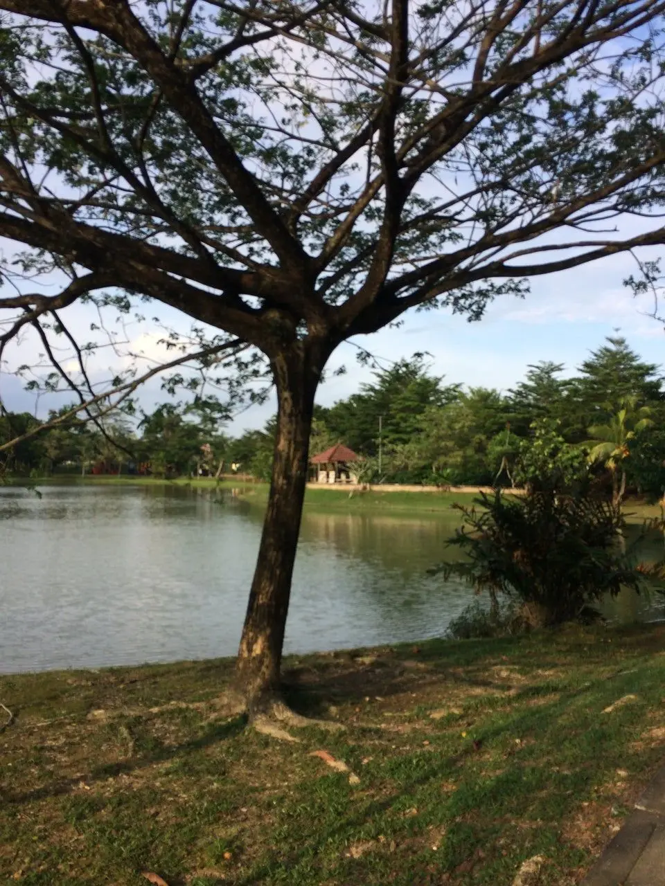 Taman Tasek - Nature & Park in Kota Tinggi