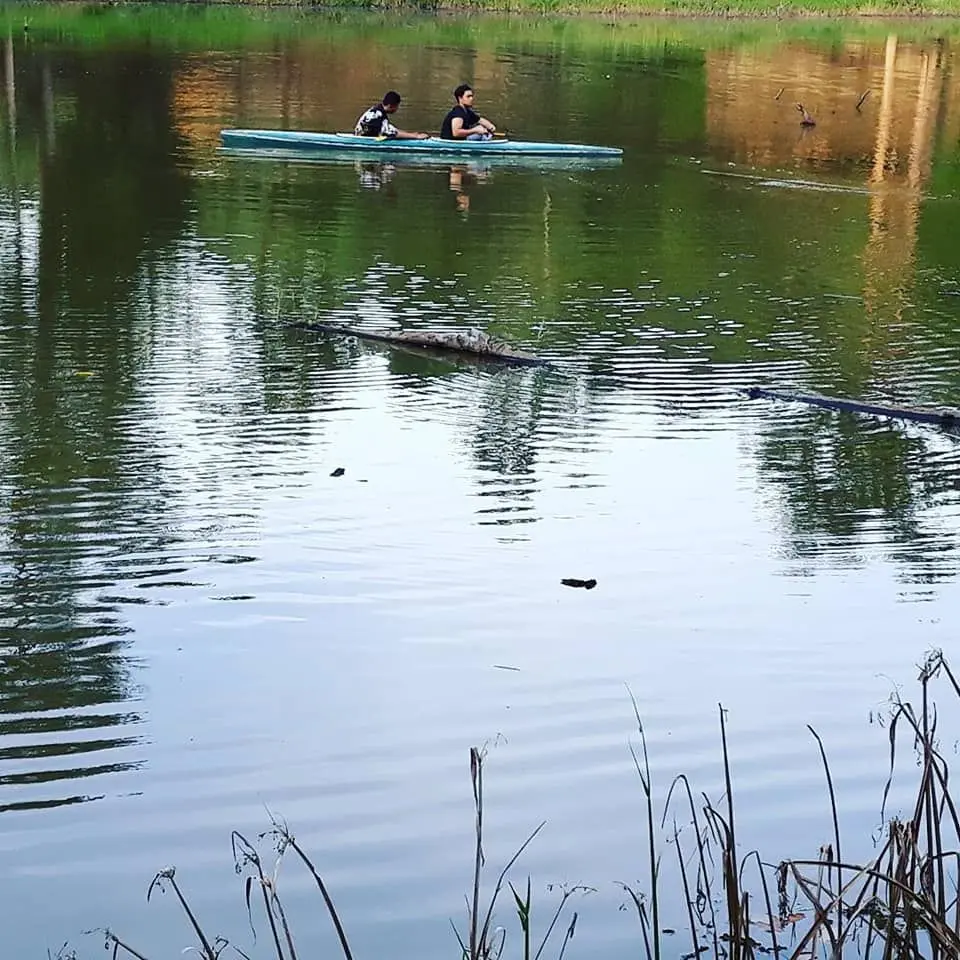 Taman Tasik Burung Mandi - Nature & Park in Benta