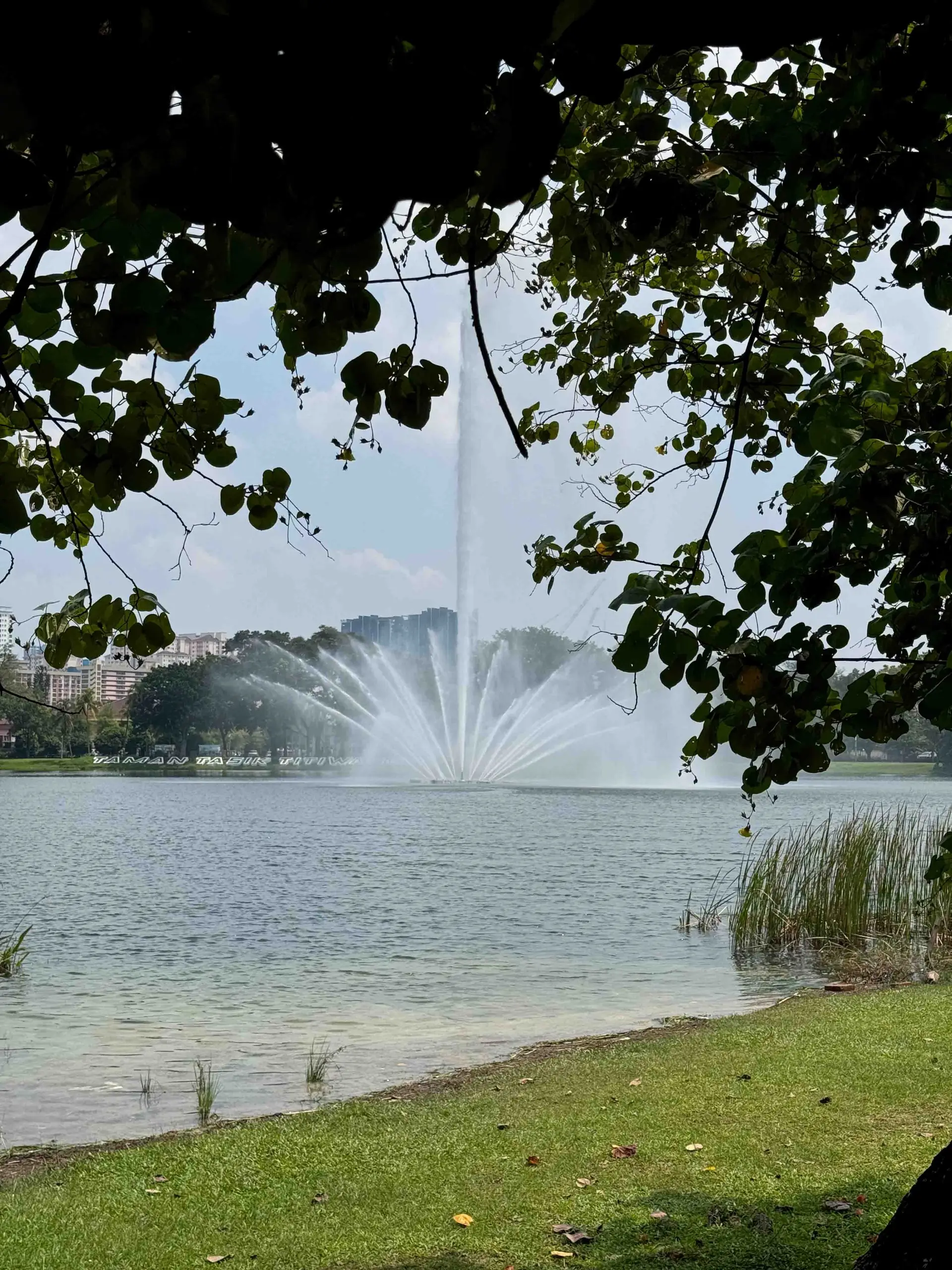 Taman Tasik Titiwangsa