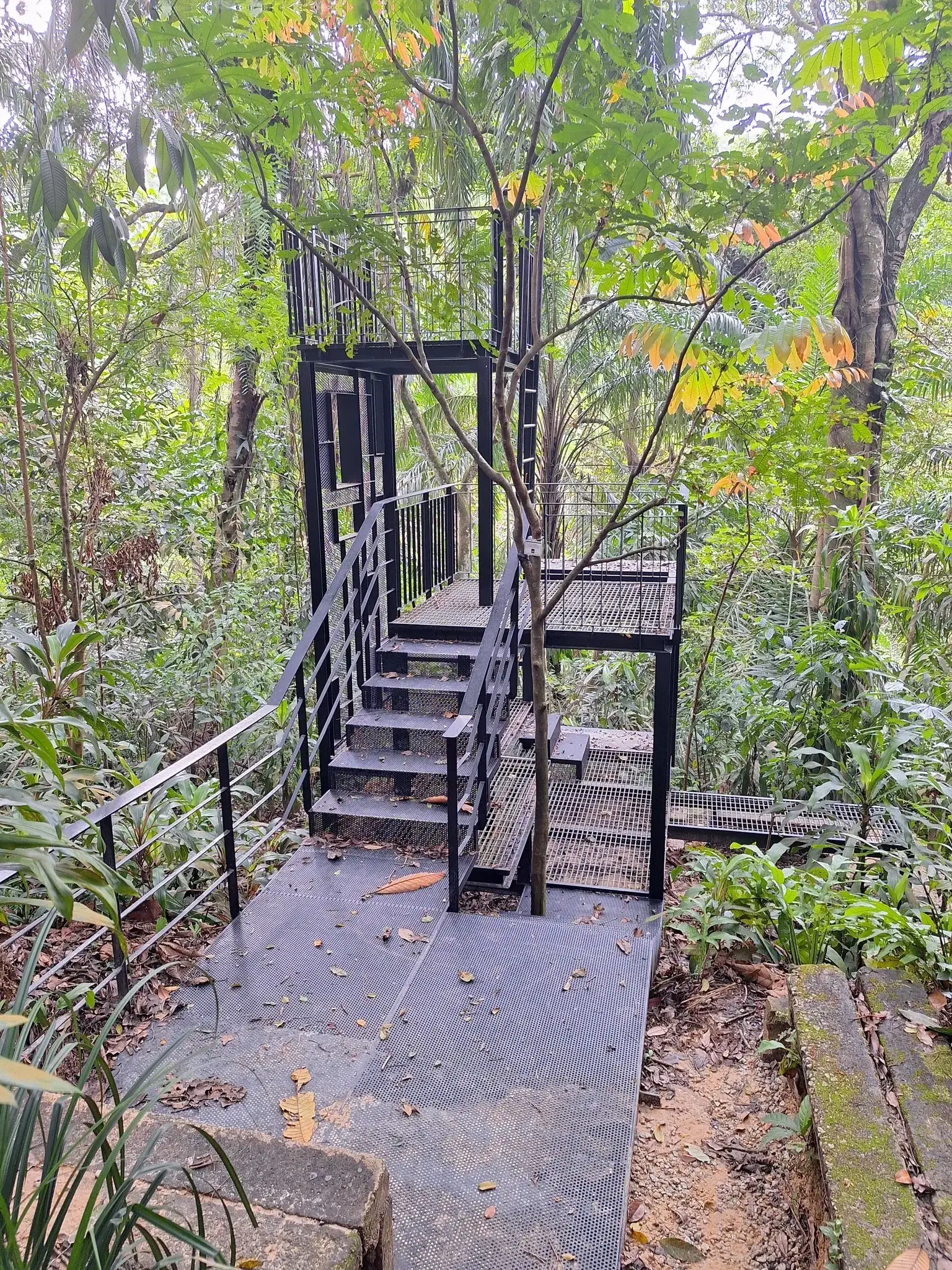 Taman Tugu Trails
