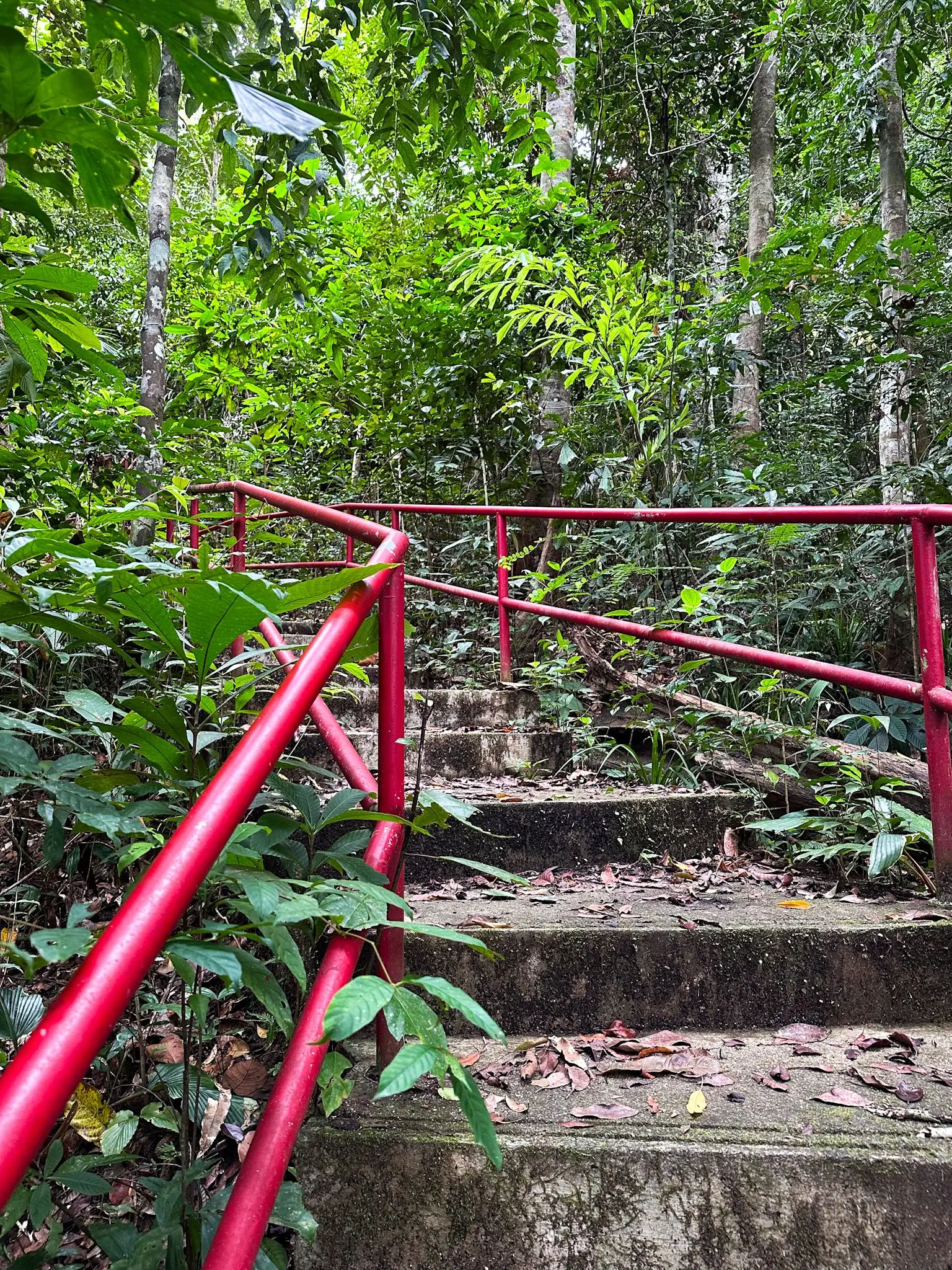 Tangga Helang Seribu Kenangan - Nature & Park in Langkawi