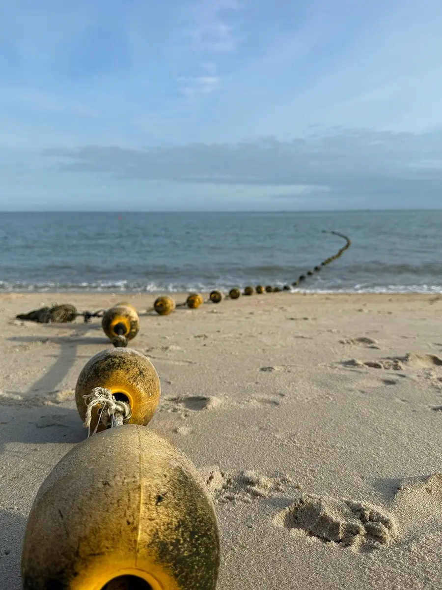 Tanjung Bungah Beach - Beach in Penang