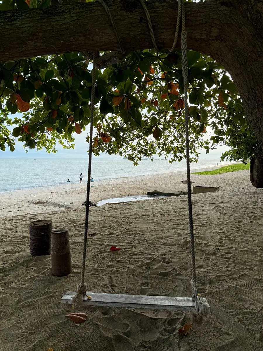 Tanjung Bungah Beach - Beach in Penang