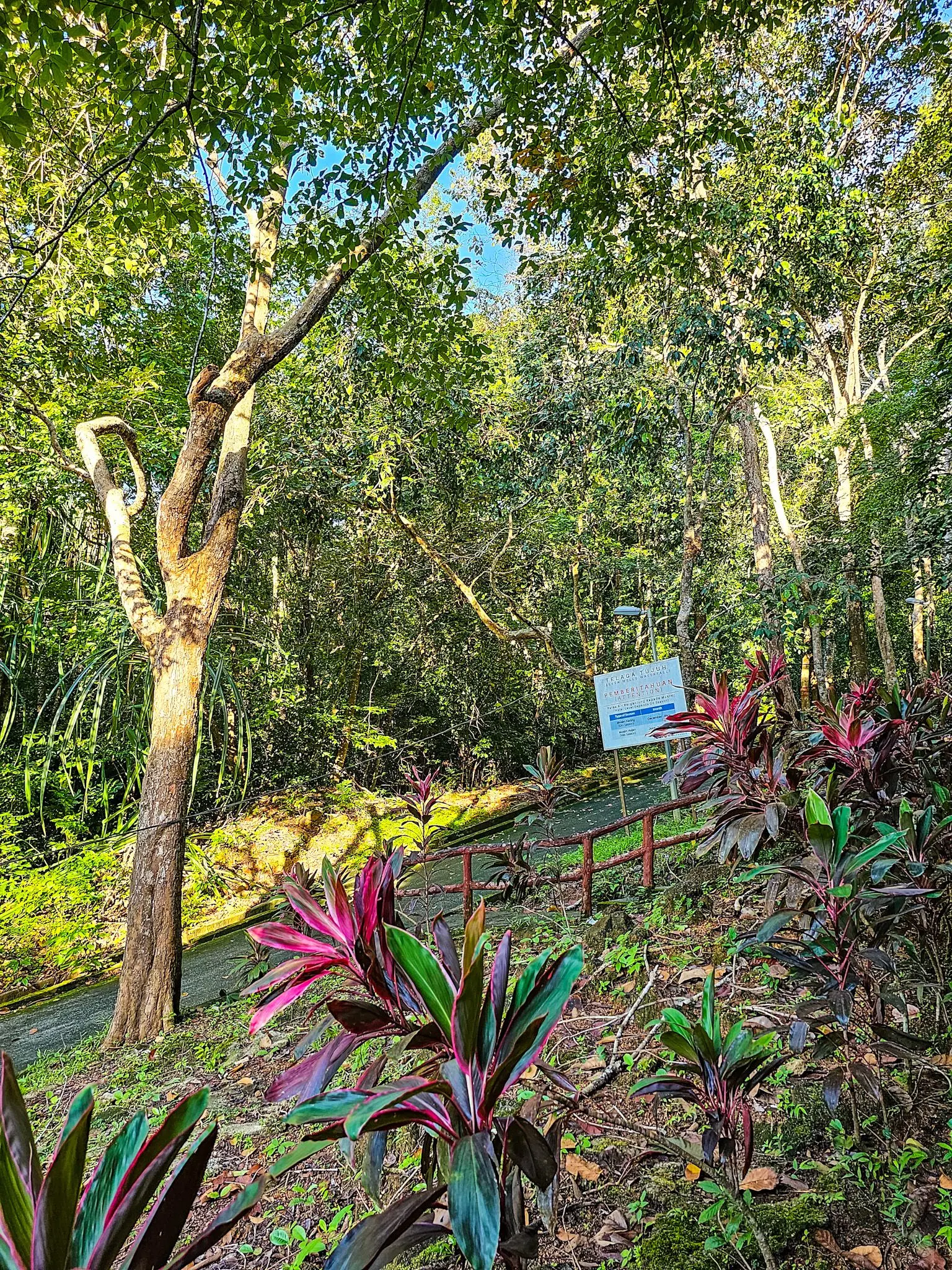 Telaga Tujuh Car Park photo 6