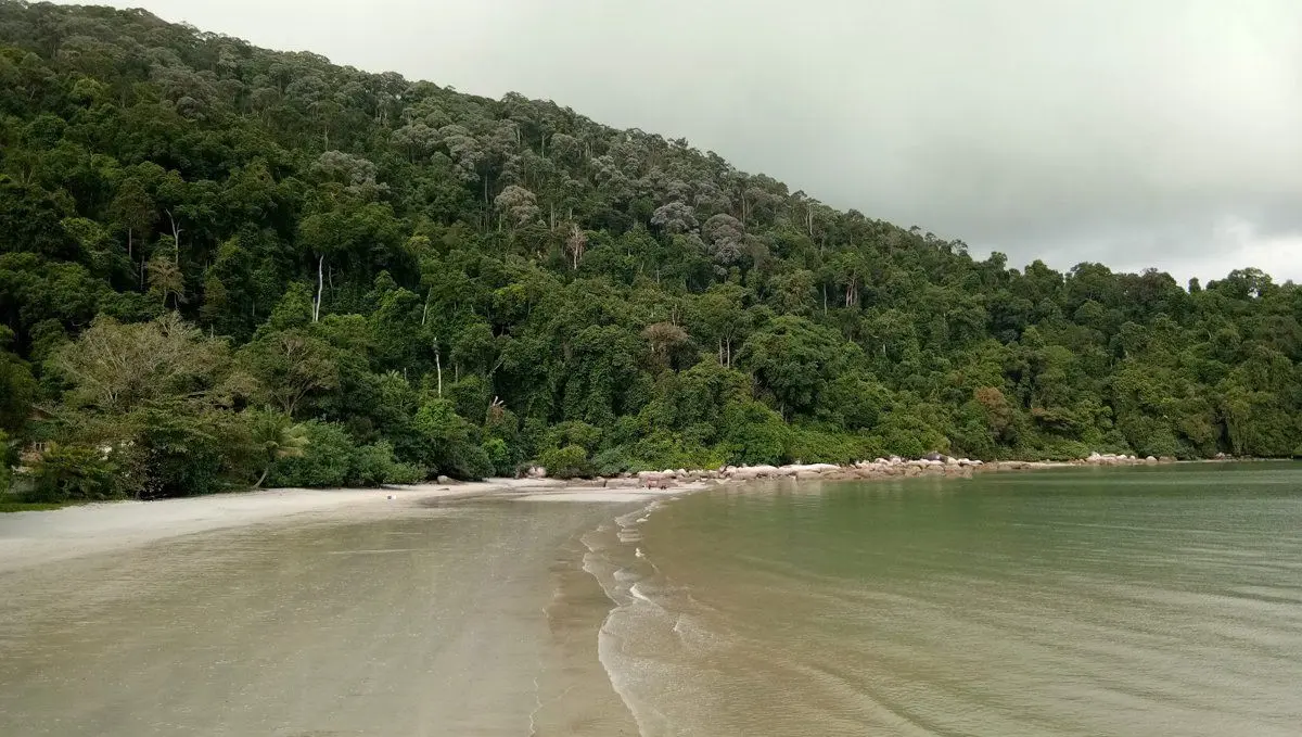 Teluk Bahang Beach