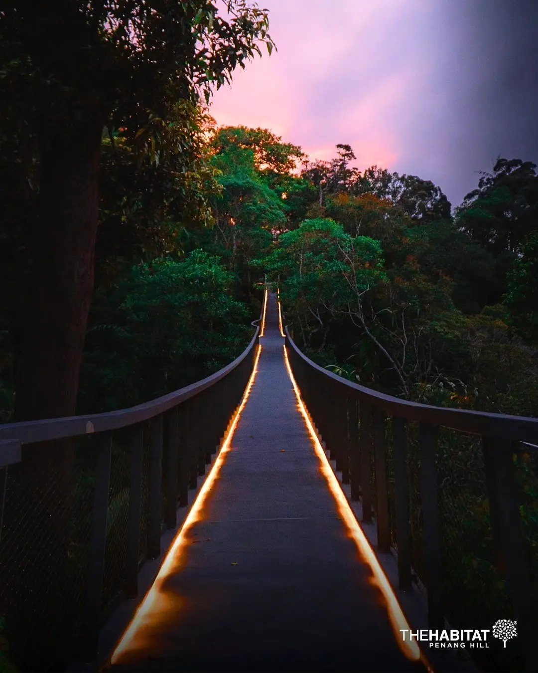 The Habitat Penang Hill