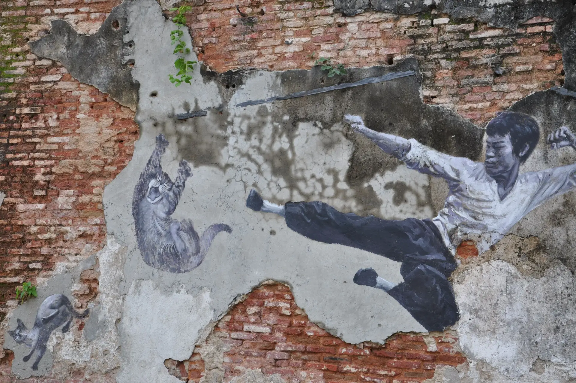 The Real Bruce Lee Would Never Do This Street Ar