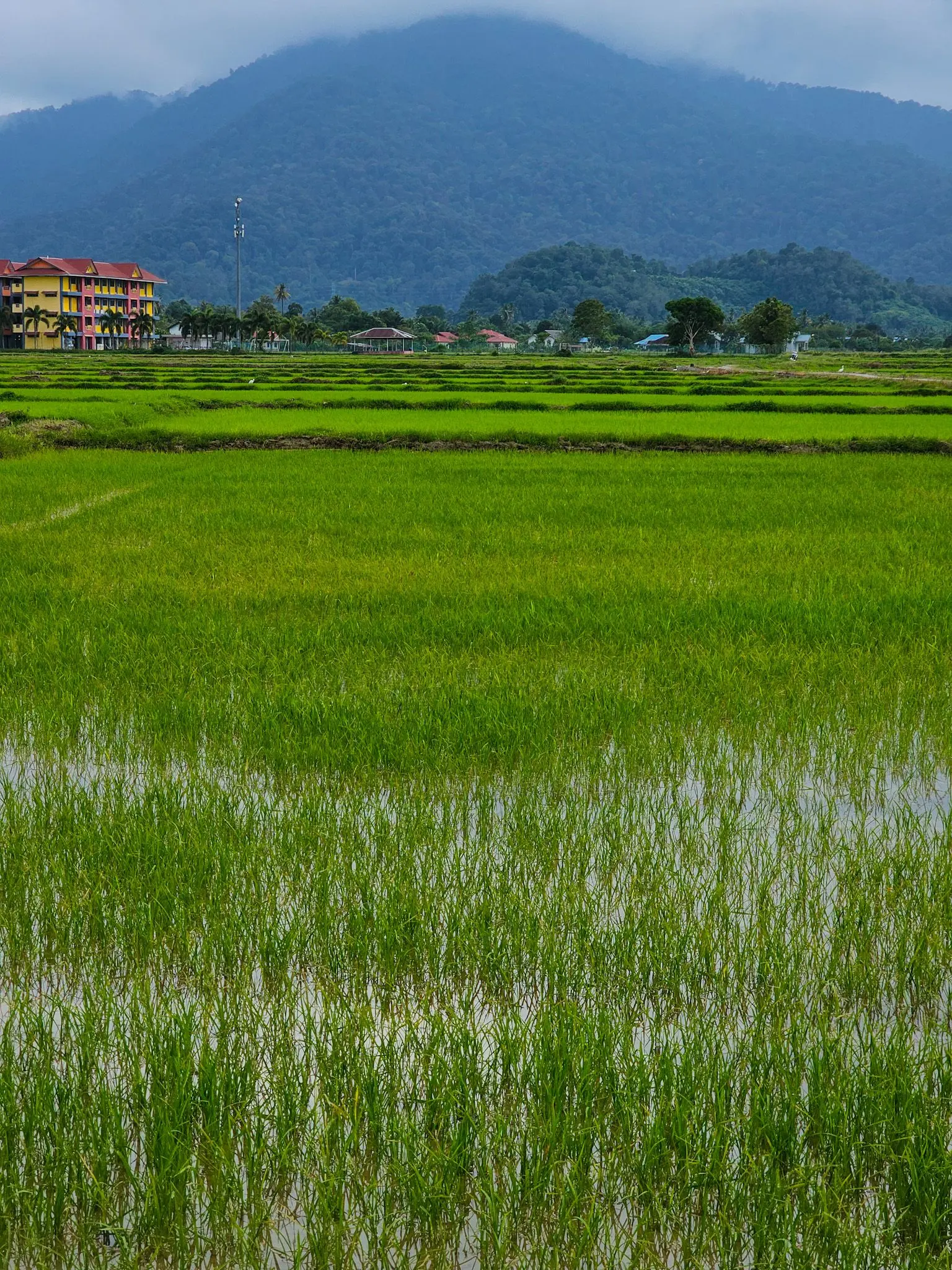 Ulu Melaka Mahsuri's Ring - Geosite in Langkawi
