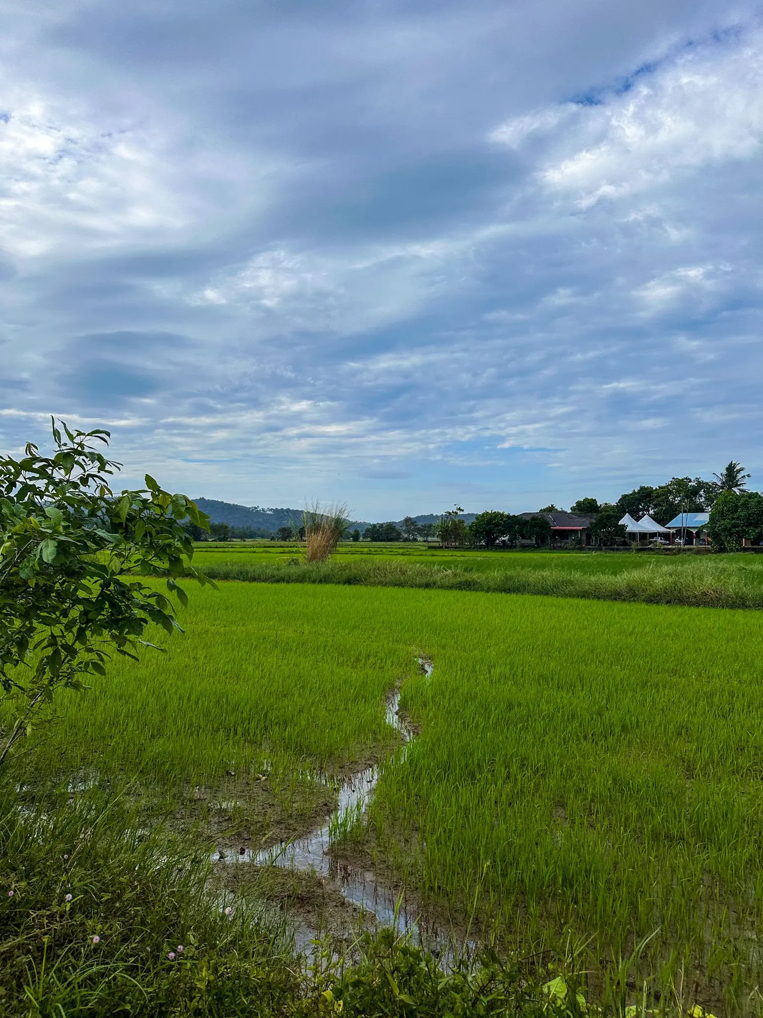 Ulu Melaka Mahsuri's Ring - Geosite in Langkawi