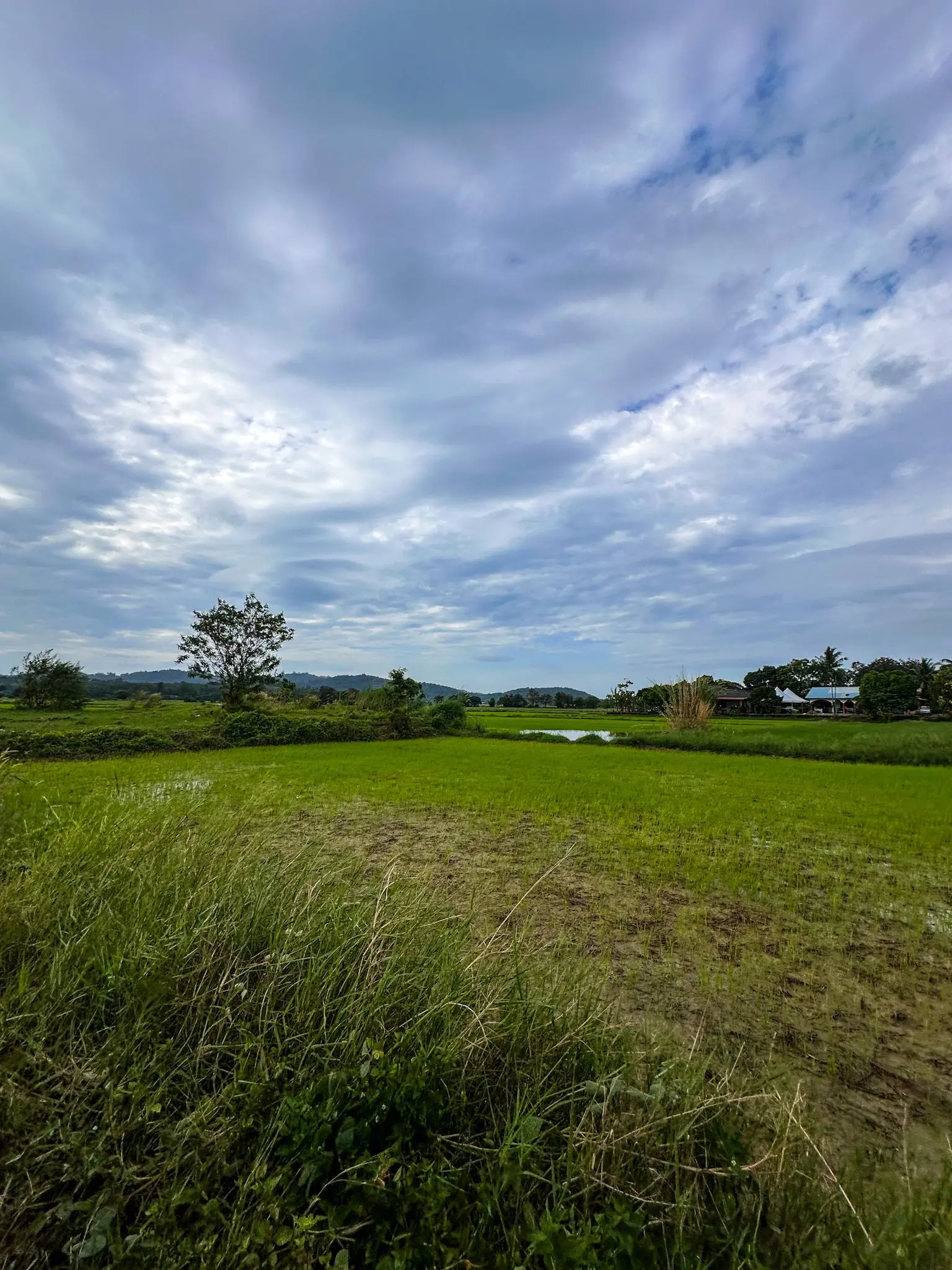 Ulu Melaka Mahsuri's Ring - Geosite in Langkawi