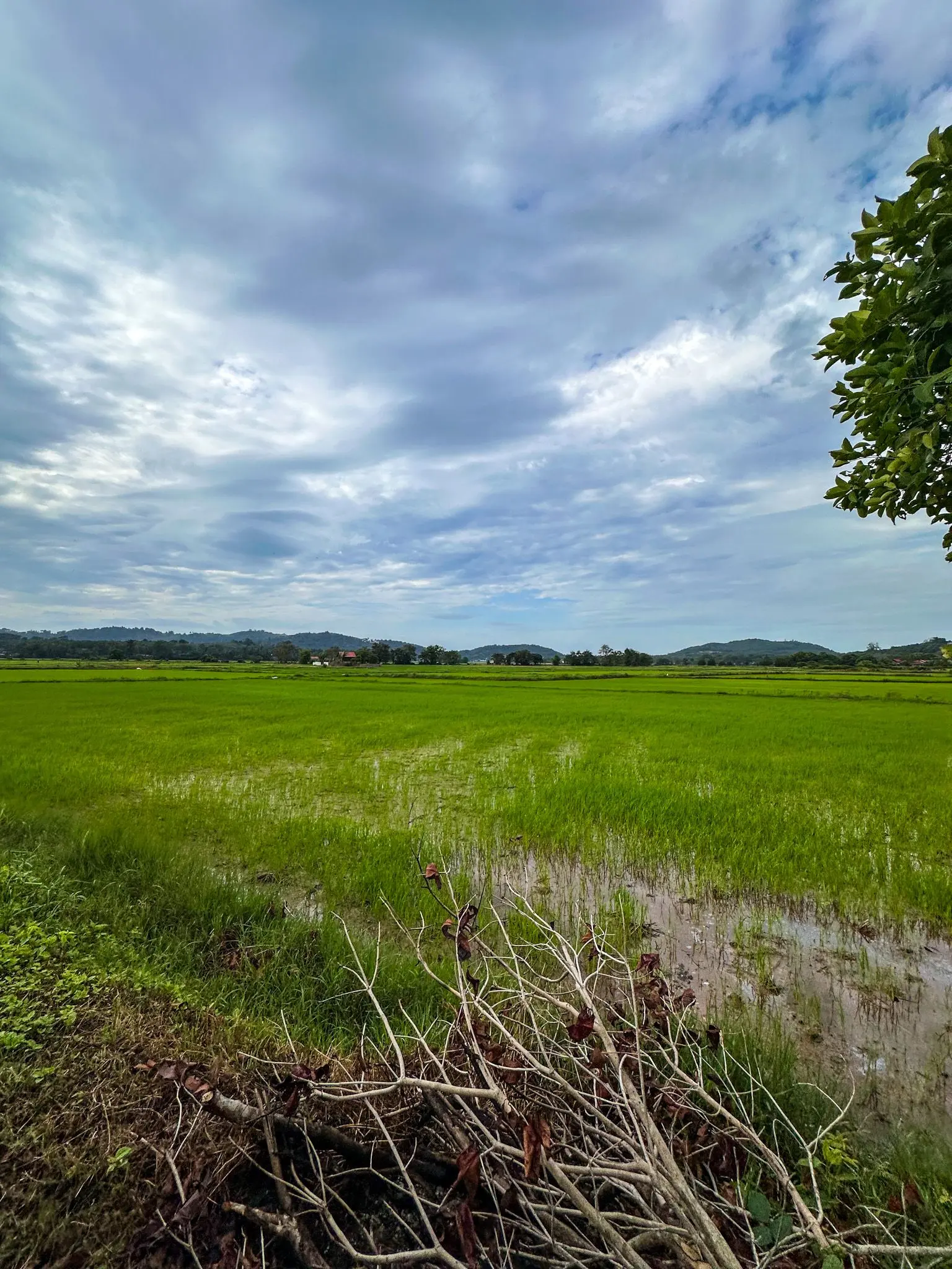 Ulu Melaka Mahsuri's Ring - Geosite in Langkawi