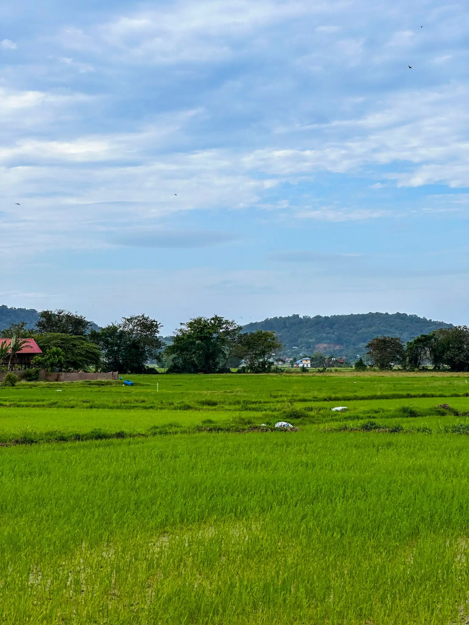 Ulu Melaka Mahsuri's Ring - Geosite in Langkawi