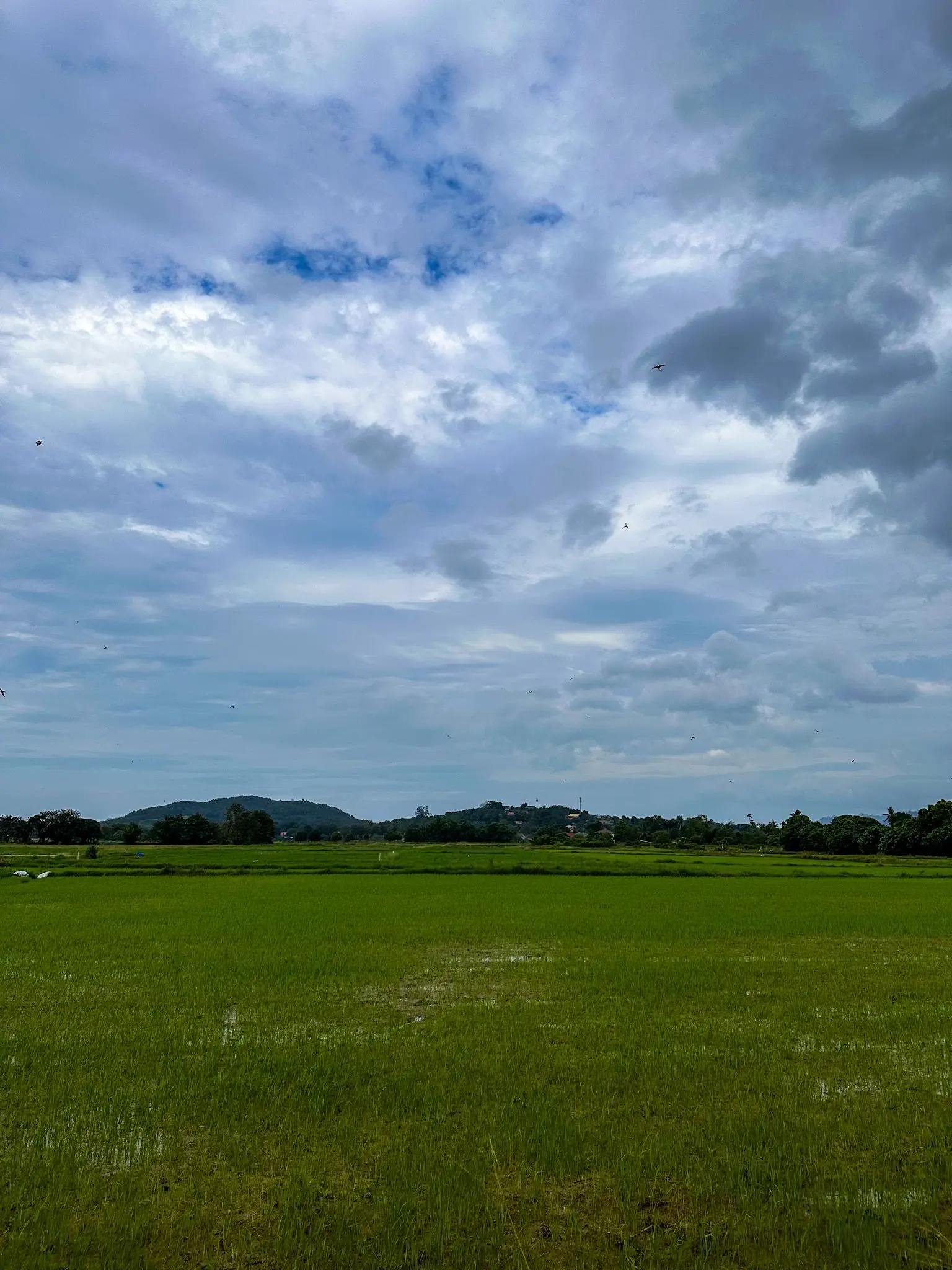 Ulu Melaka Mahsuri's Ring - Geosite in Langkawi