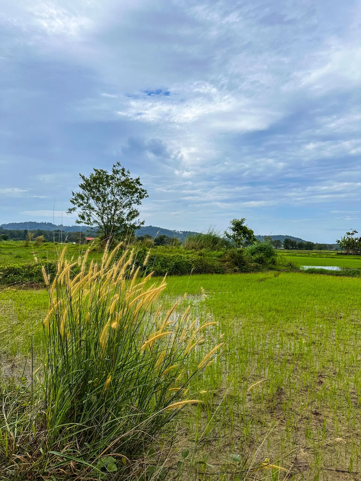 Ulu Melaka Mahsuri's Ring - Geosite in Langkawi